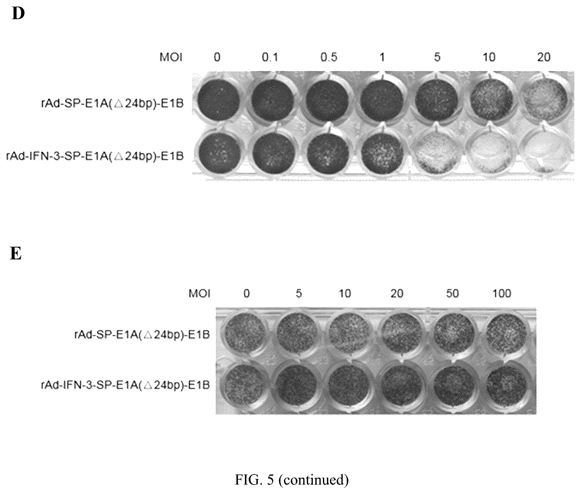 Patent US12319931 Figure 5 – Oncolytic virus expressing interferon and application therefor