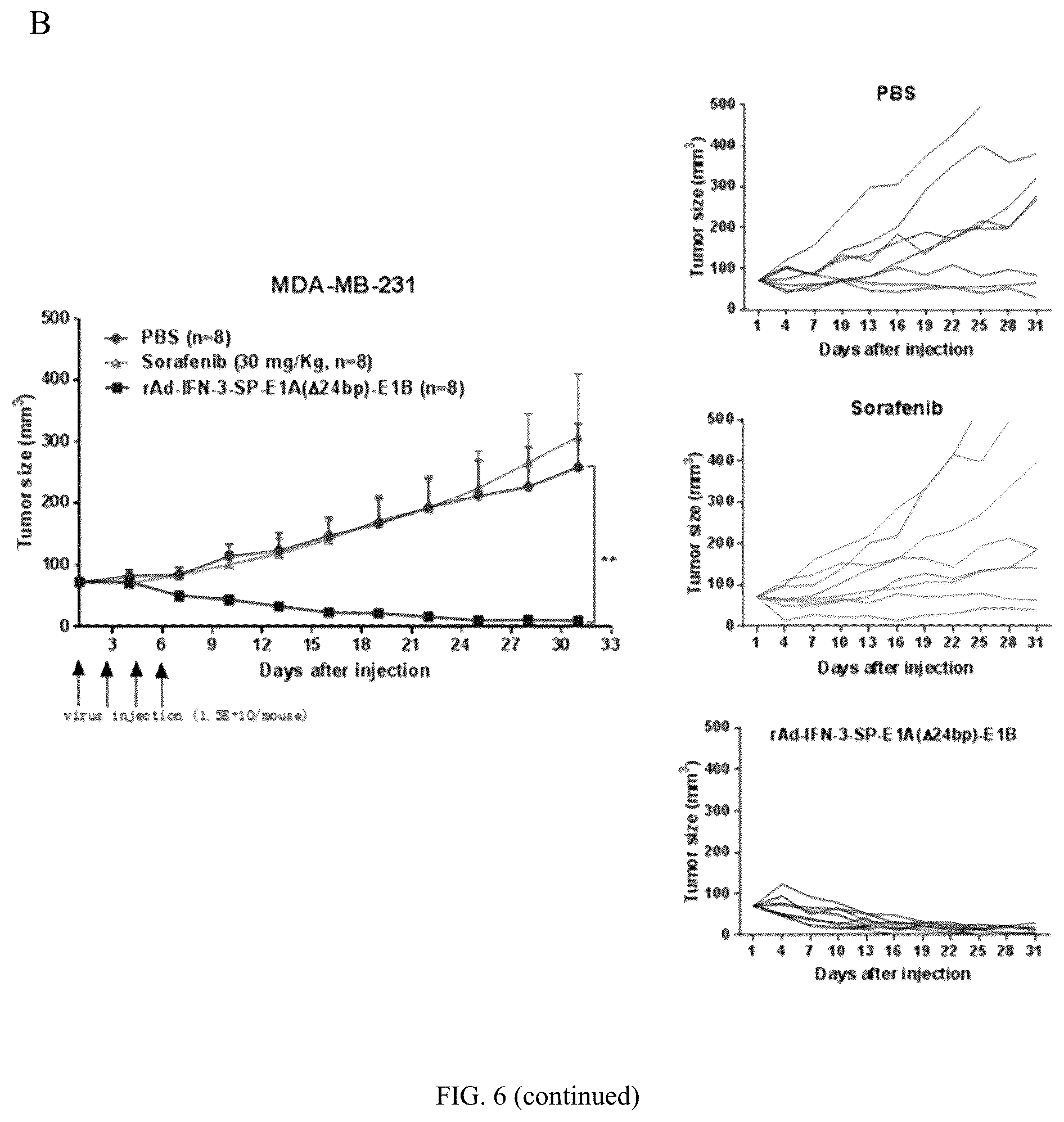 Patent US12319931 Figure 7 – Oncolytic virus expressing interferon and application therefor