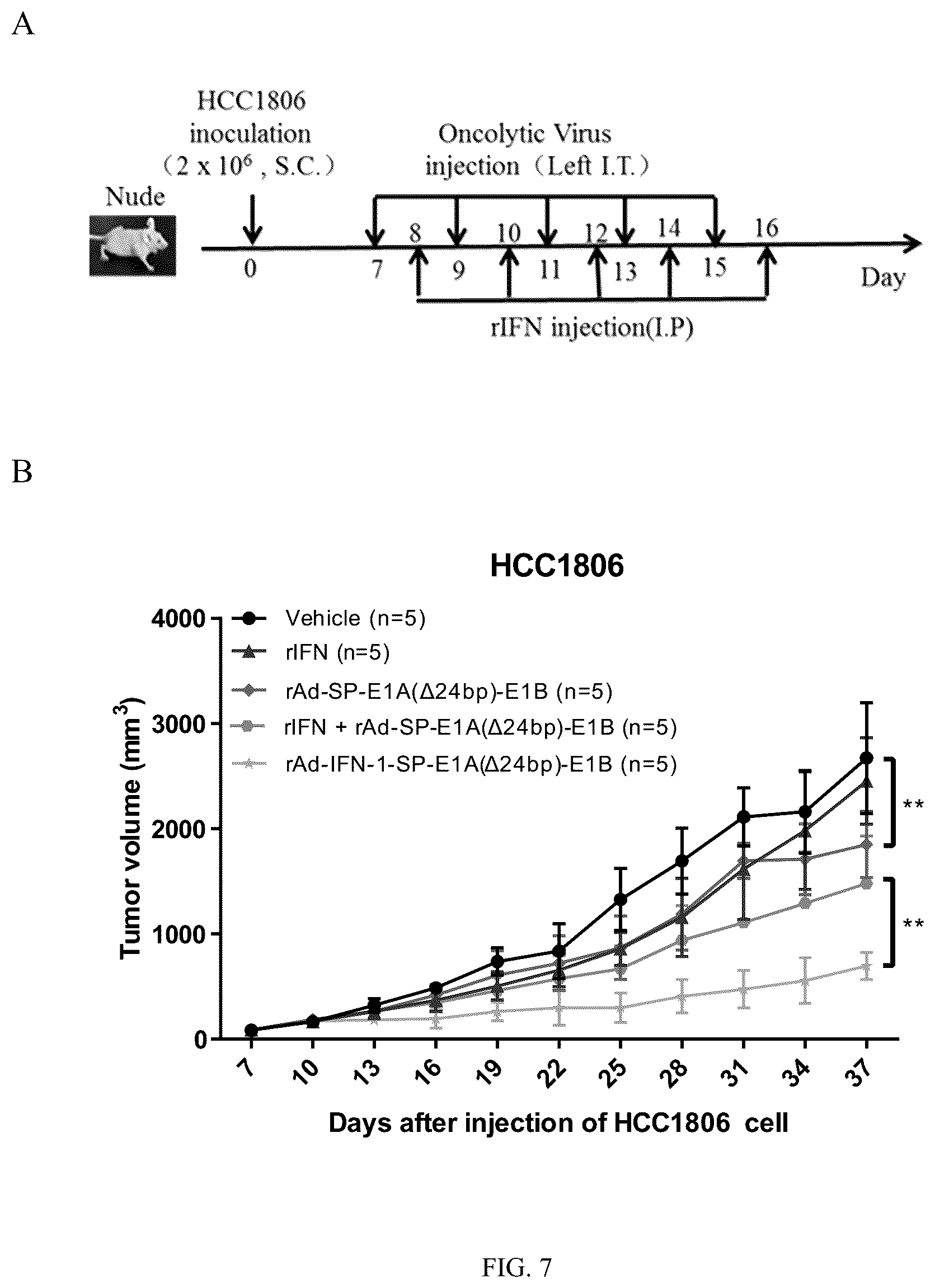 Patent US12319931 Figure 11 – Oncolytic virus expressing interferon and application therefor