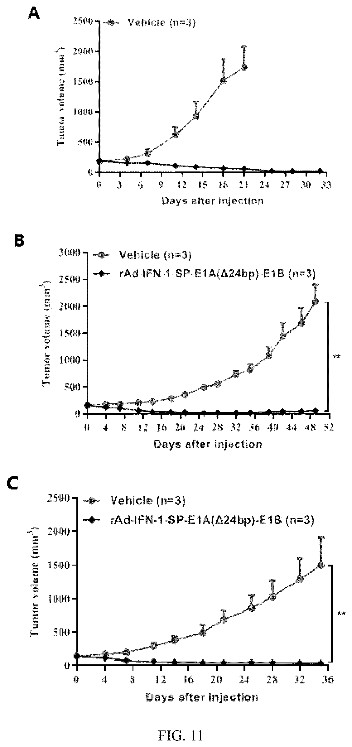 Patent US12319931 Figure 15 – Oncolytic virus expressing interferon and application therefor