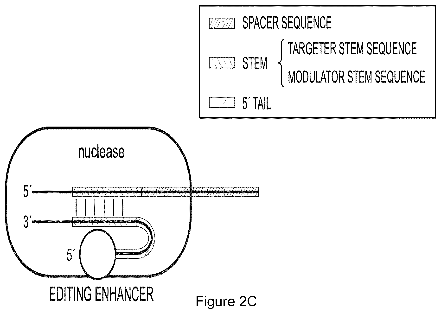 Patent US12319932 Figure 5 – Compositions and methods for targeting, editing, or modifying genes