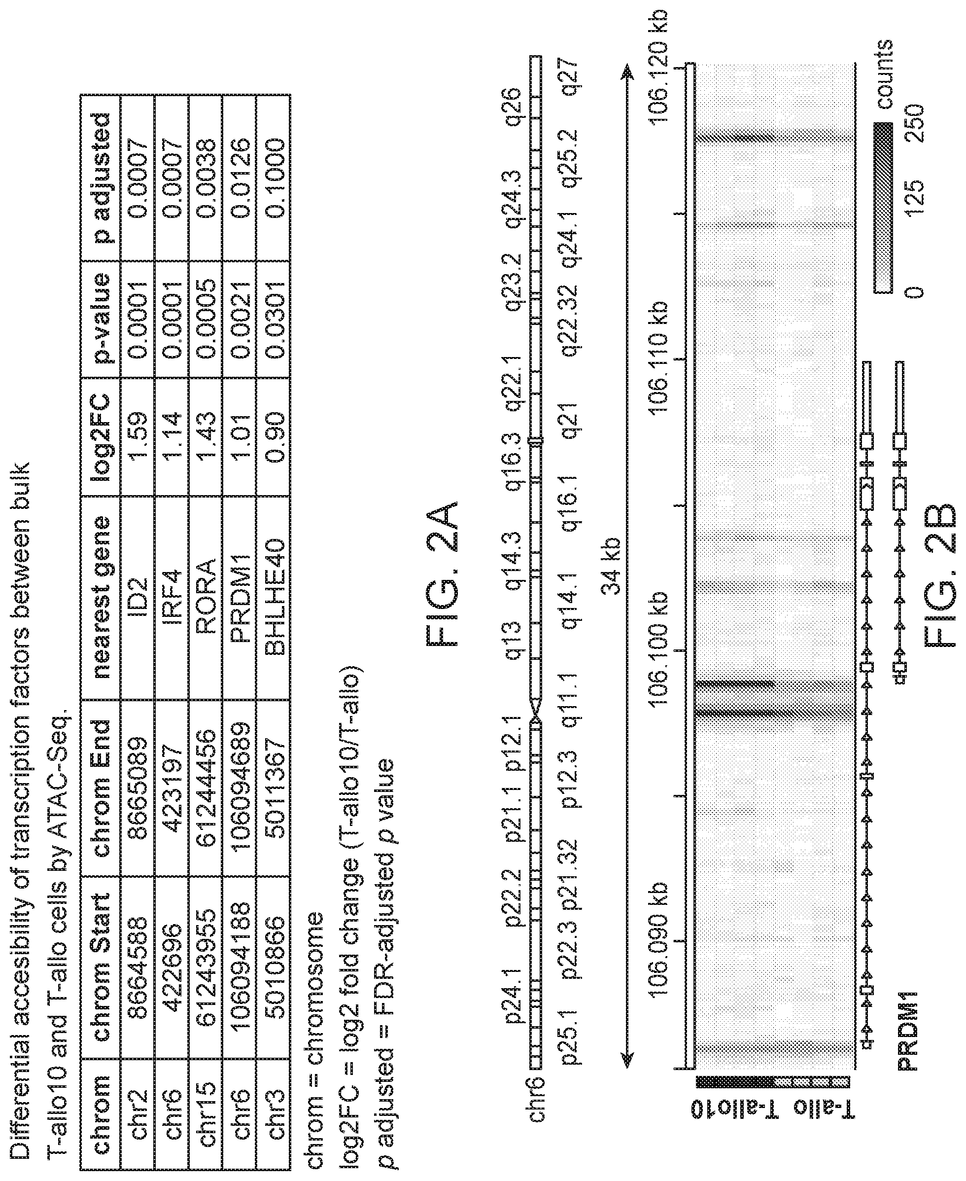 Patent US12319935 Figure 2 – Generation of type 1 regulatory T cells through transcription factor targeting