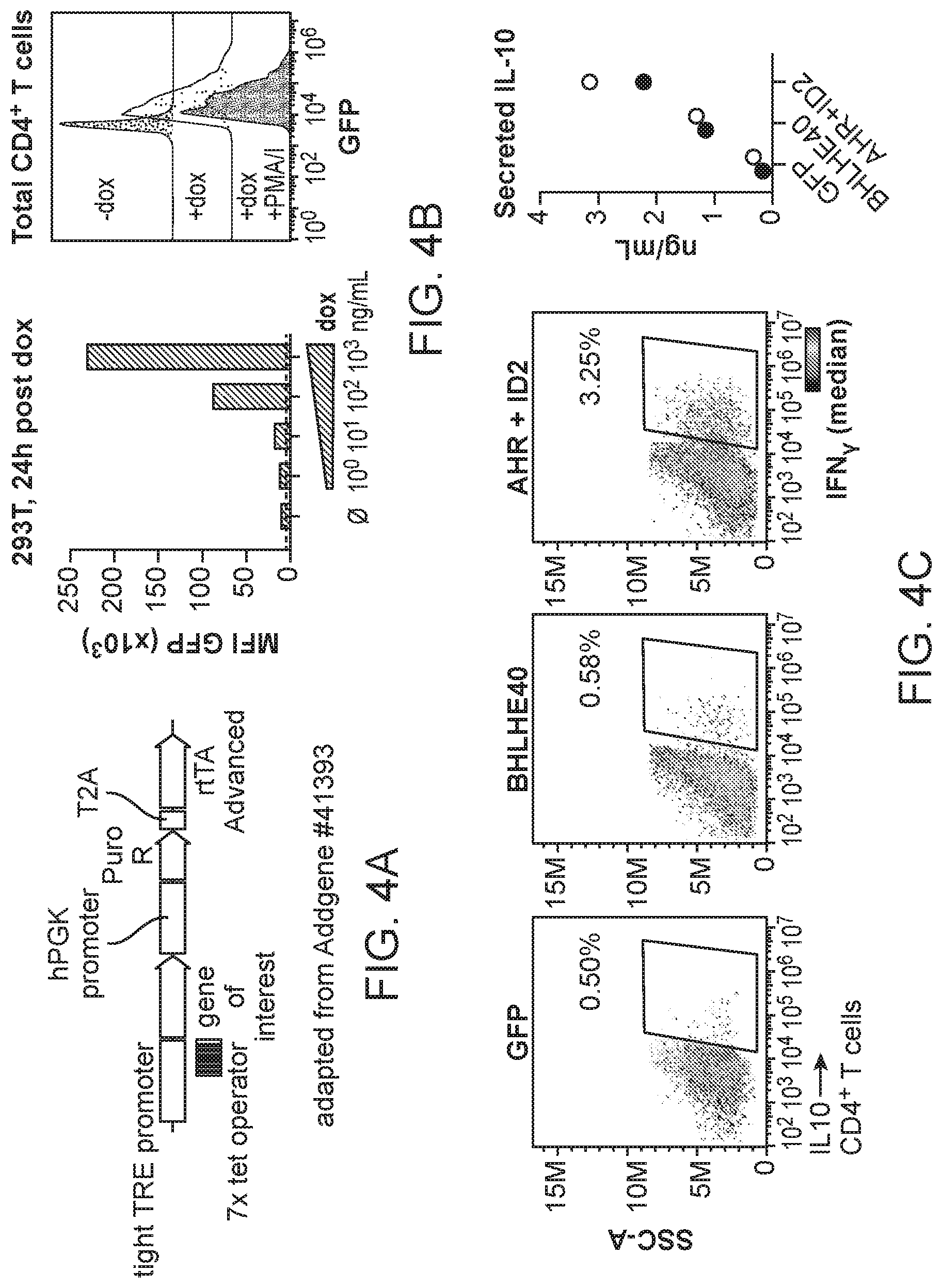 Patent US12319935 Figure 4 – Generation of type 1 regulatory T cells through transcription factor targeting