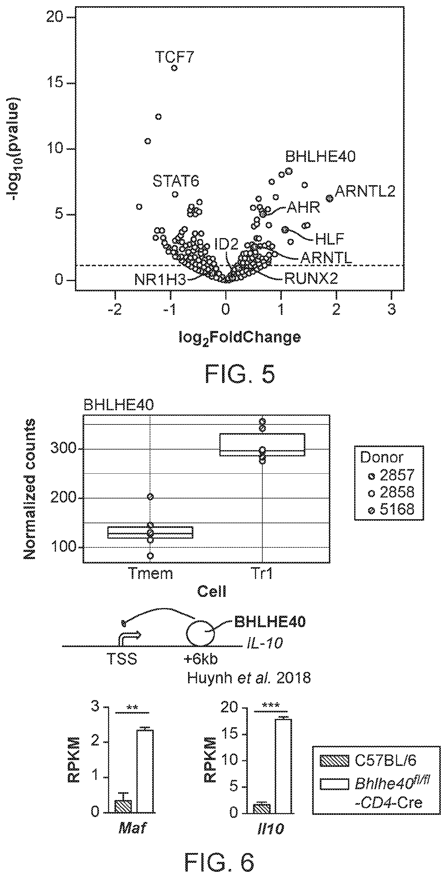 Patent US12319935 Figure 5 – Generation of type 1 regulatory T cells through transcription factor targeting