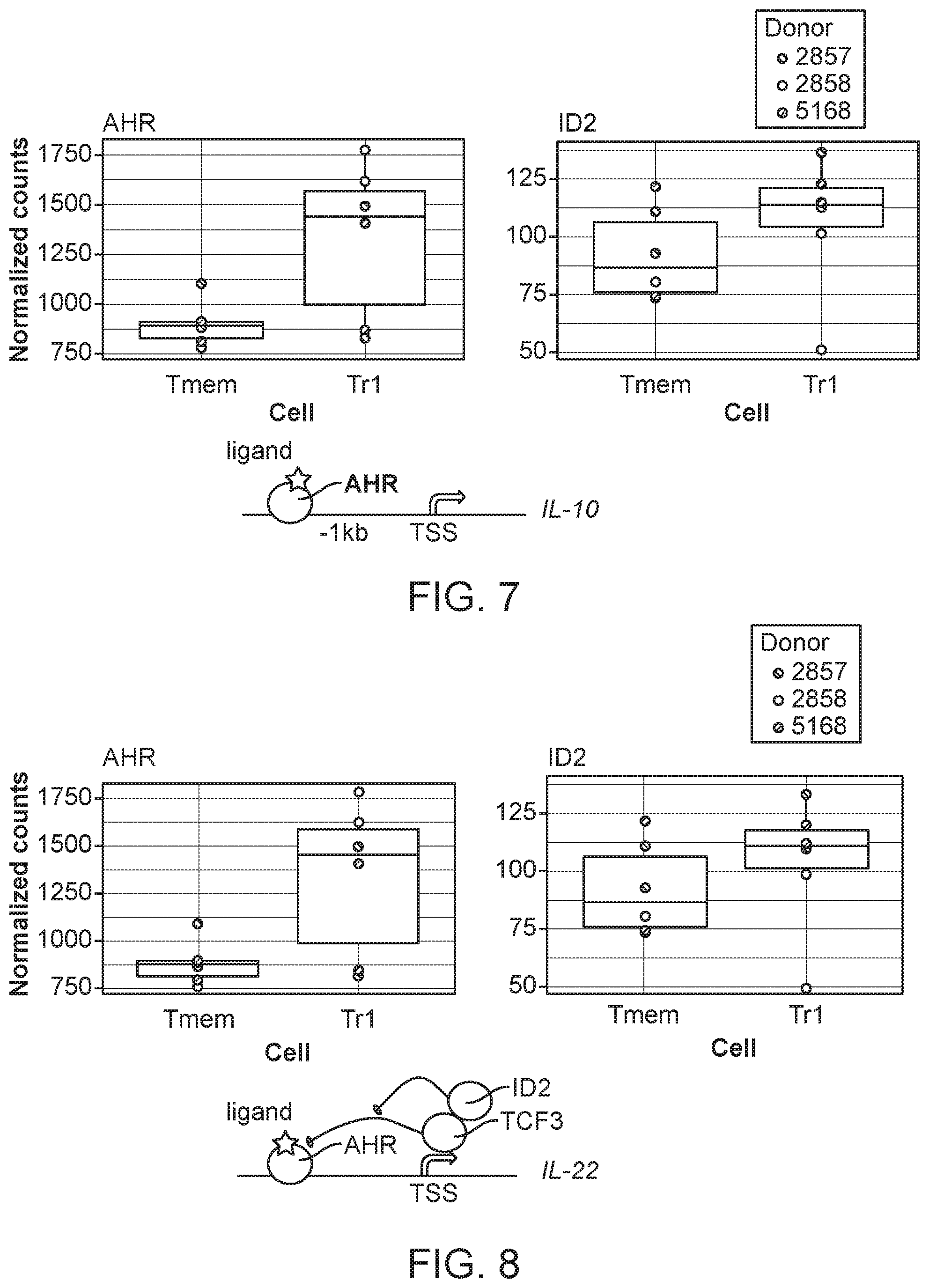 Patent US12319935 Figure 6 – Generation of type 1 regulatory T cells through transcription factor targeting