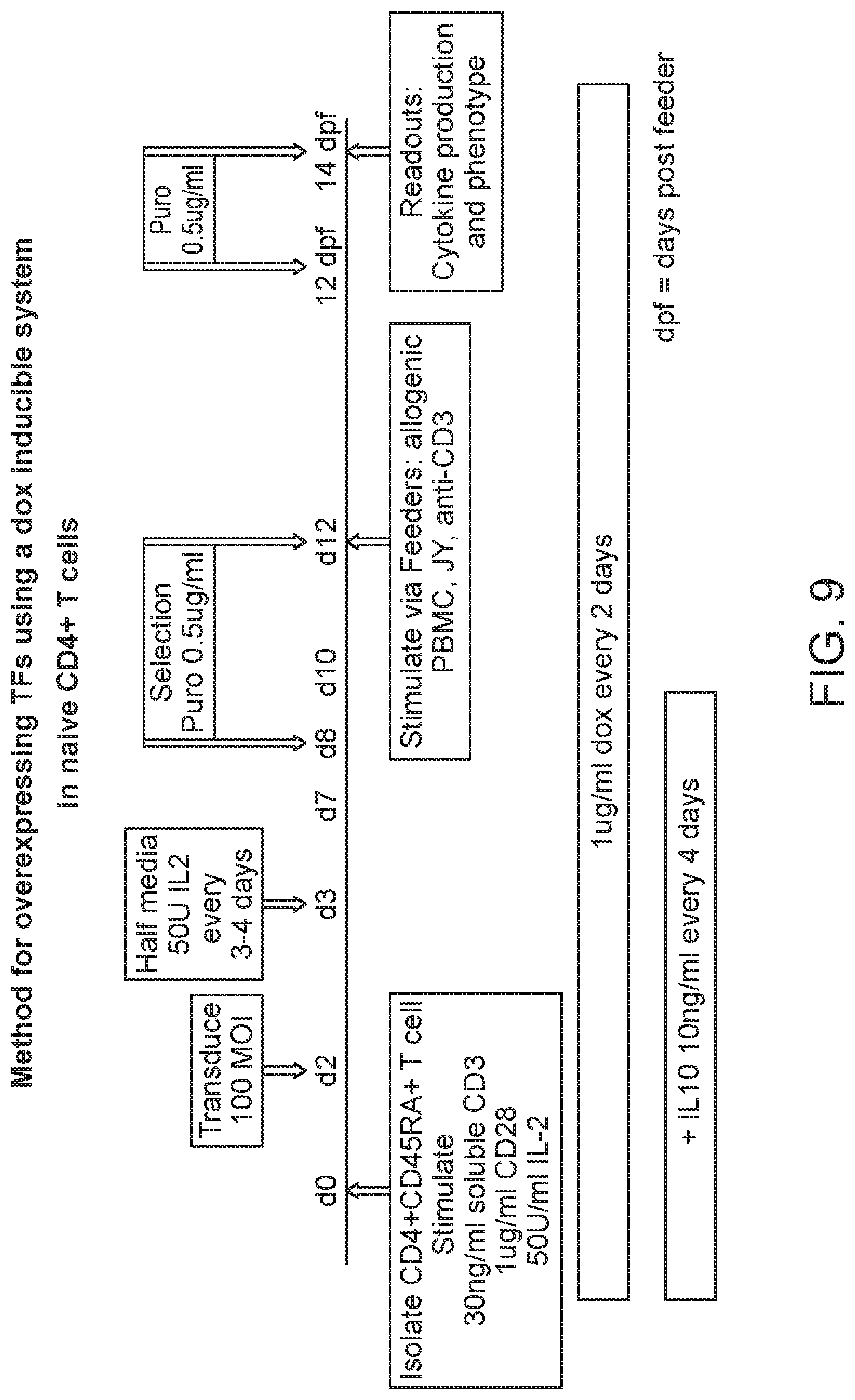 Patent US12319935 Figure 7 – Generation of type 1 regulatory T cells through transcription factor targeting