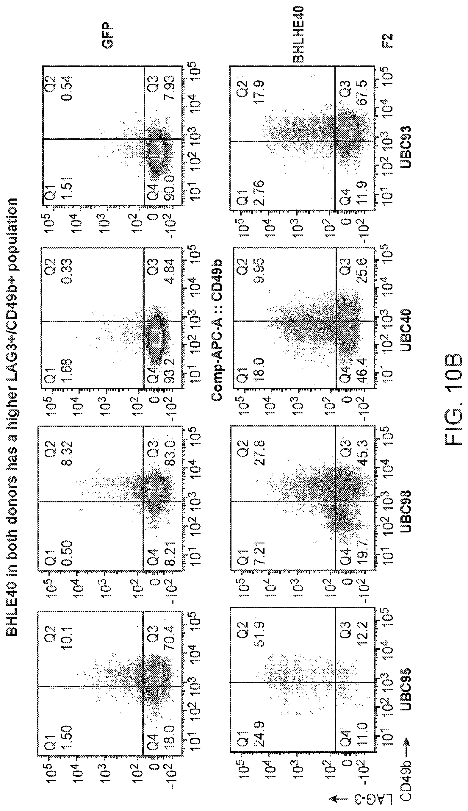 Patent US12319935 Figure 9 – Generation of type 1 regulatory T cells through transcription factor targeting