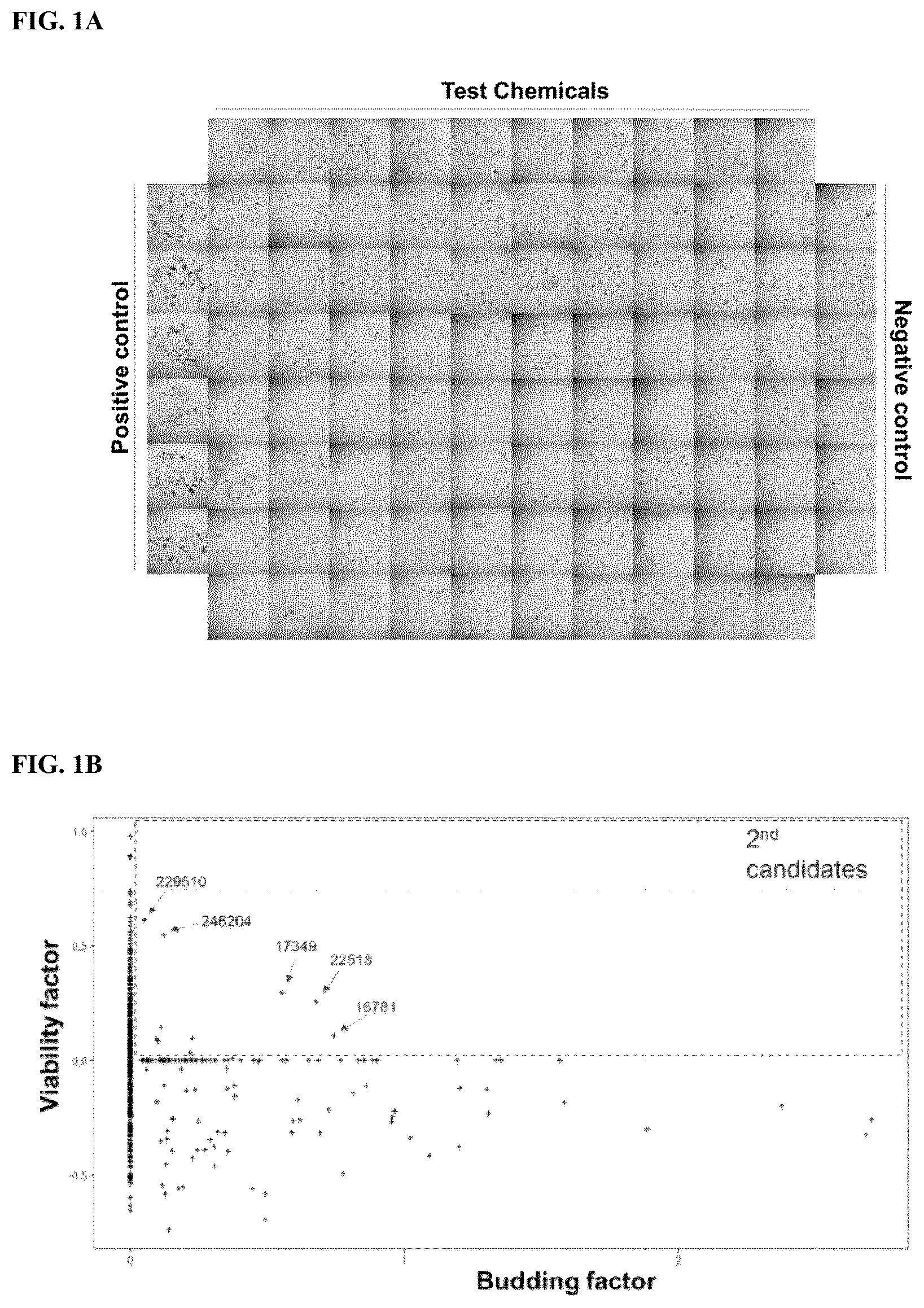Patent US12319937 Figure 1 – Composition and method for culturing organoids