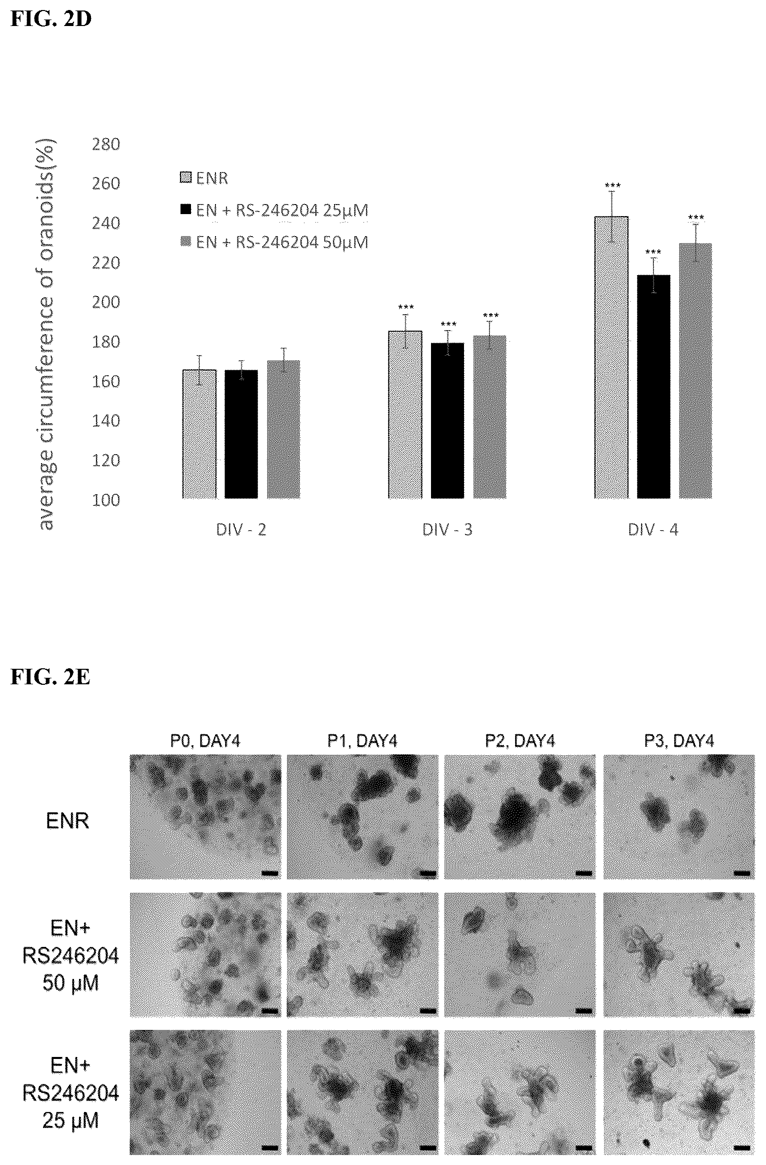 Patent US12319937 Figure 4 – Composition and method for culturing organoids