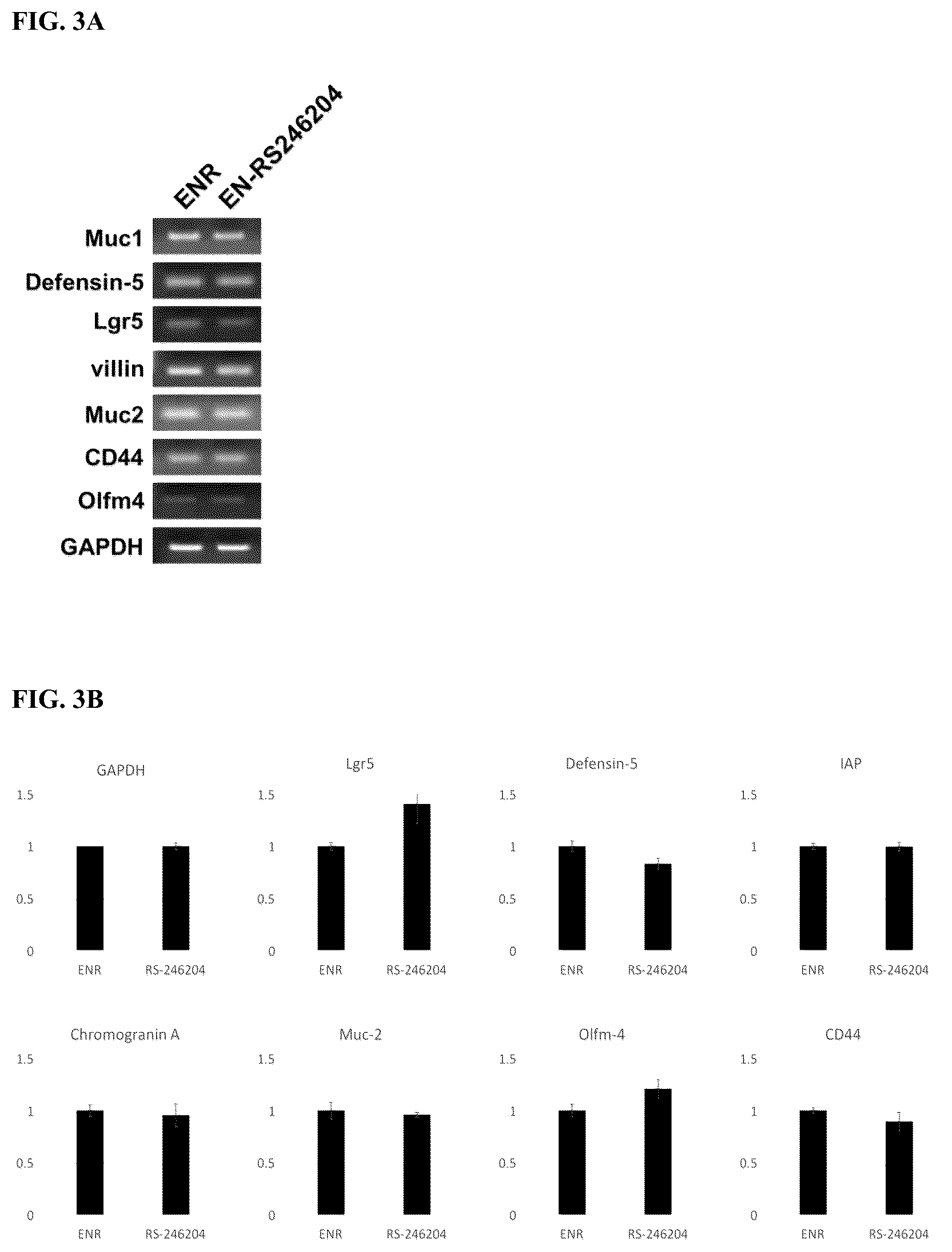 Patent US12319937 Figure 5 – Composition and method for culturing organoids