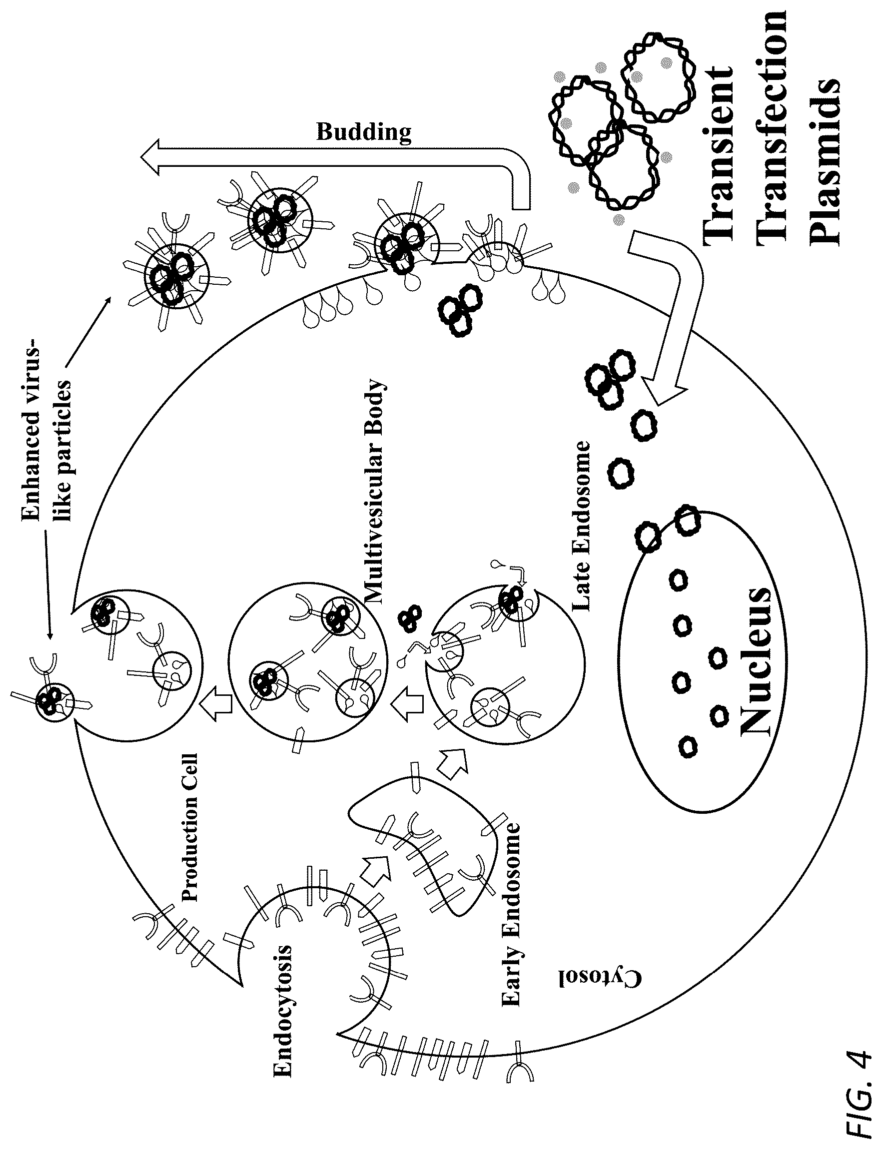 Patent US12319938 Figure 4 – Enhanced virus-like particles and methods of use thereof for delivery to cells