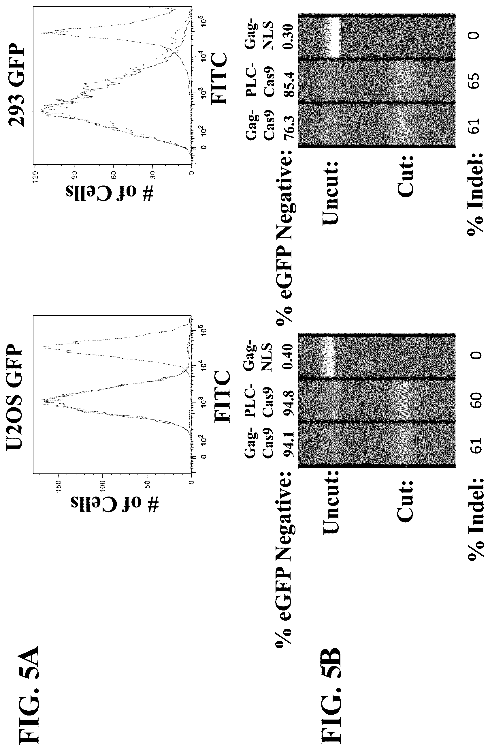 Patent US12319938 Figure 5 – Enhanced virus-like particles and methods of use thereof for delivery to cells