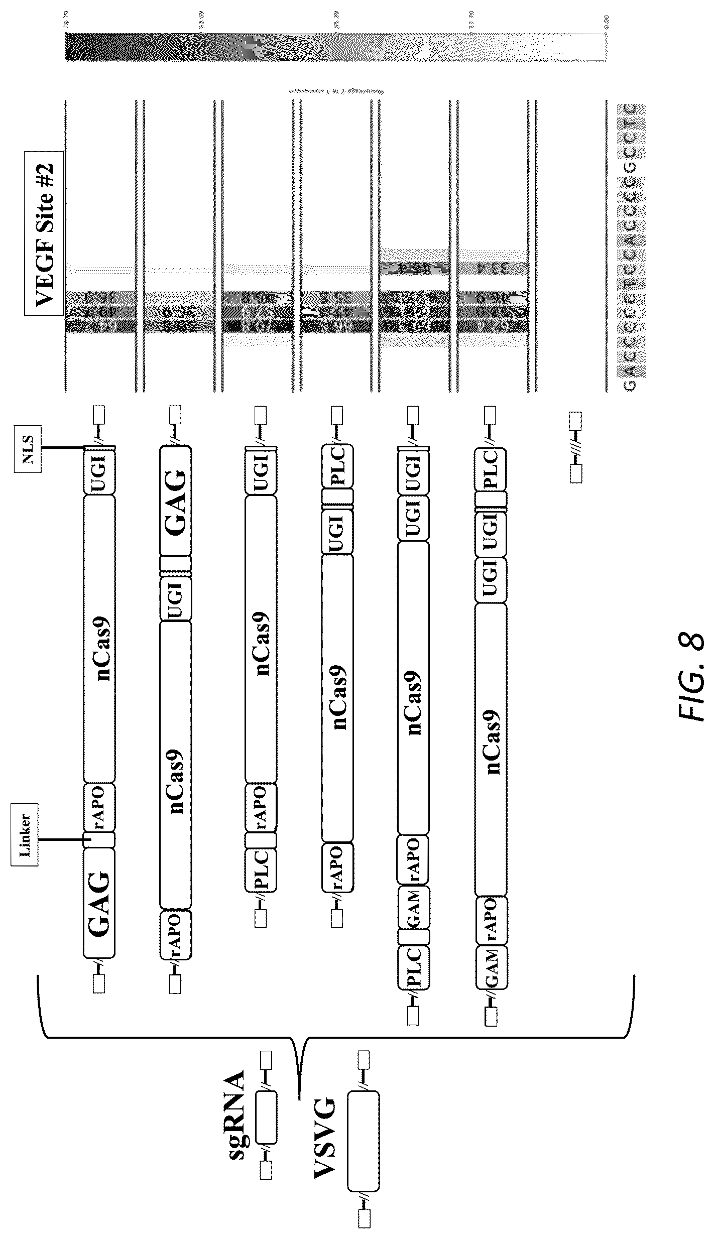 Patent US12319938 Figure 7 – Enhanced virus-like particles and methods of use thereof for delivery to cells