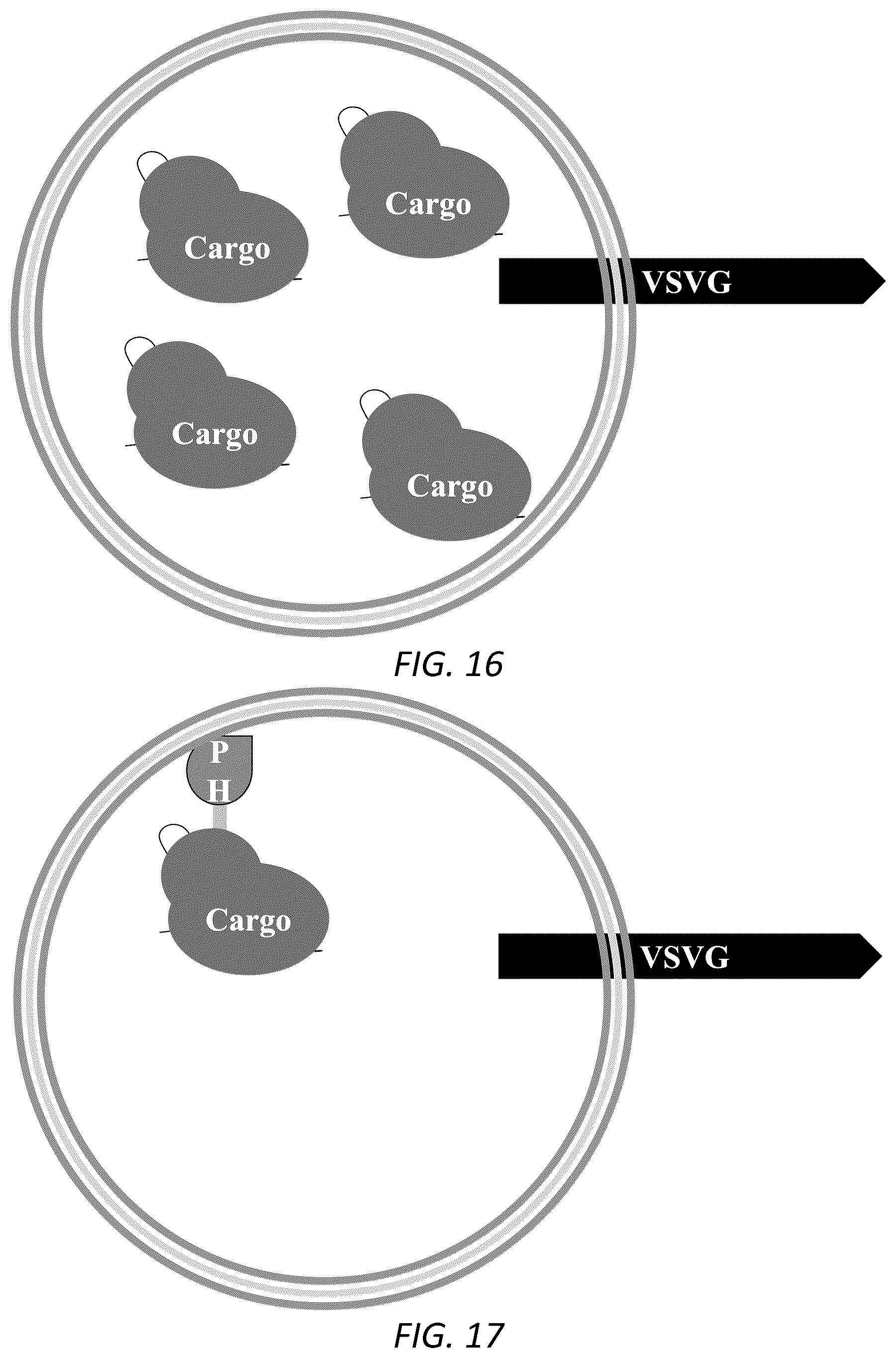 Patent US12319938 Figure 12 – Enhanced virus-like particles and methods of use thereof for delivery to cells