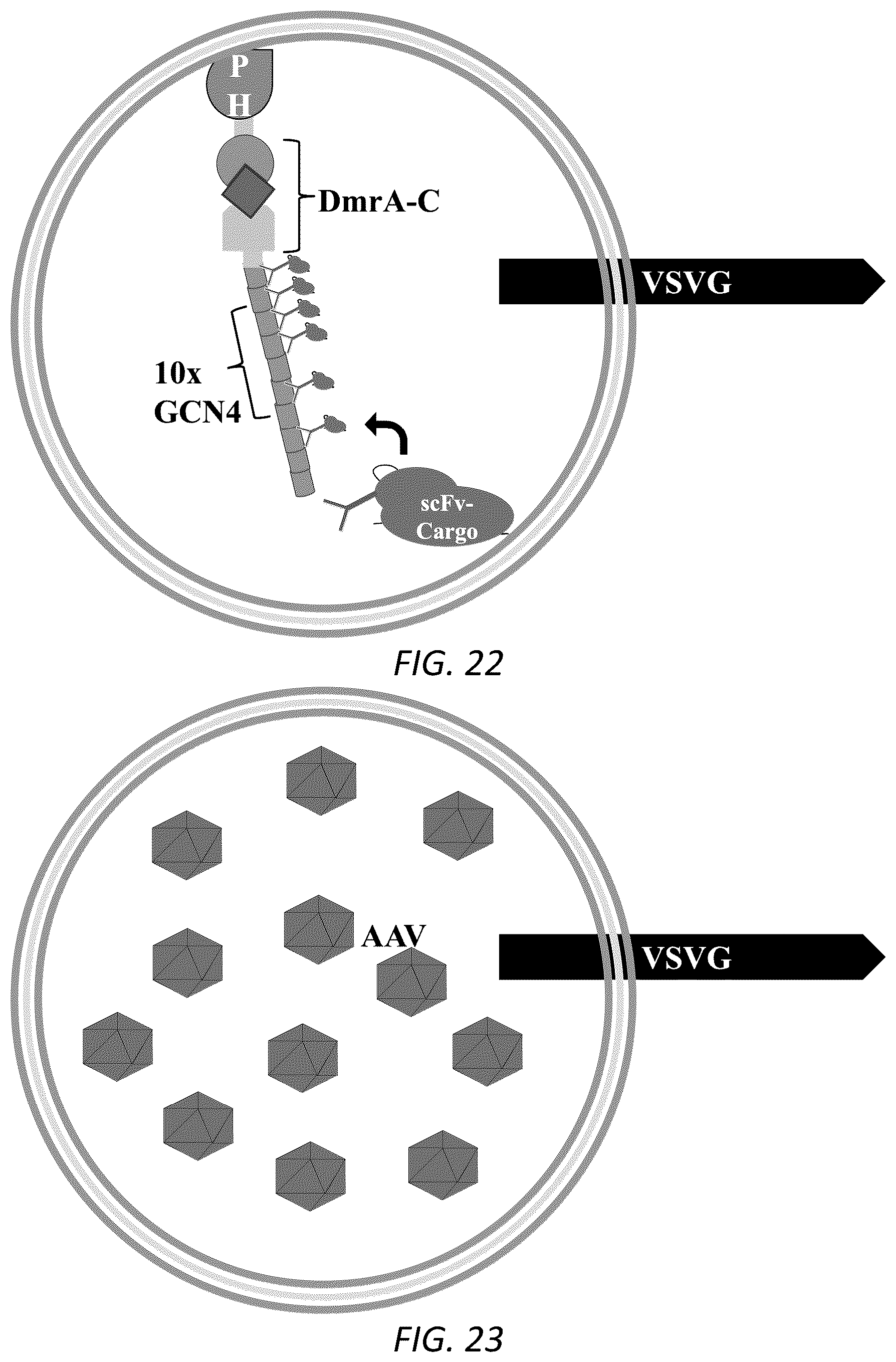 Patent US12319938 Figure 15 – Enhanced virus-like particles and methods of use thereof for delivery to cells