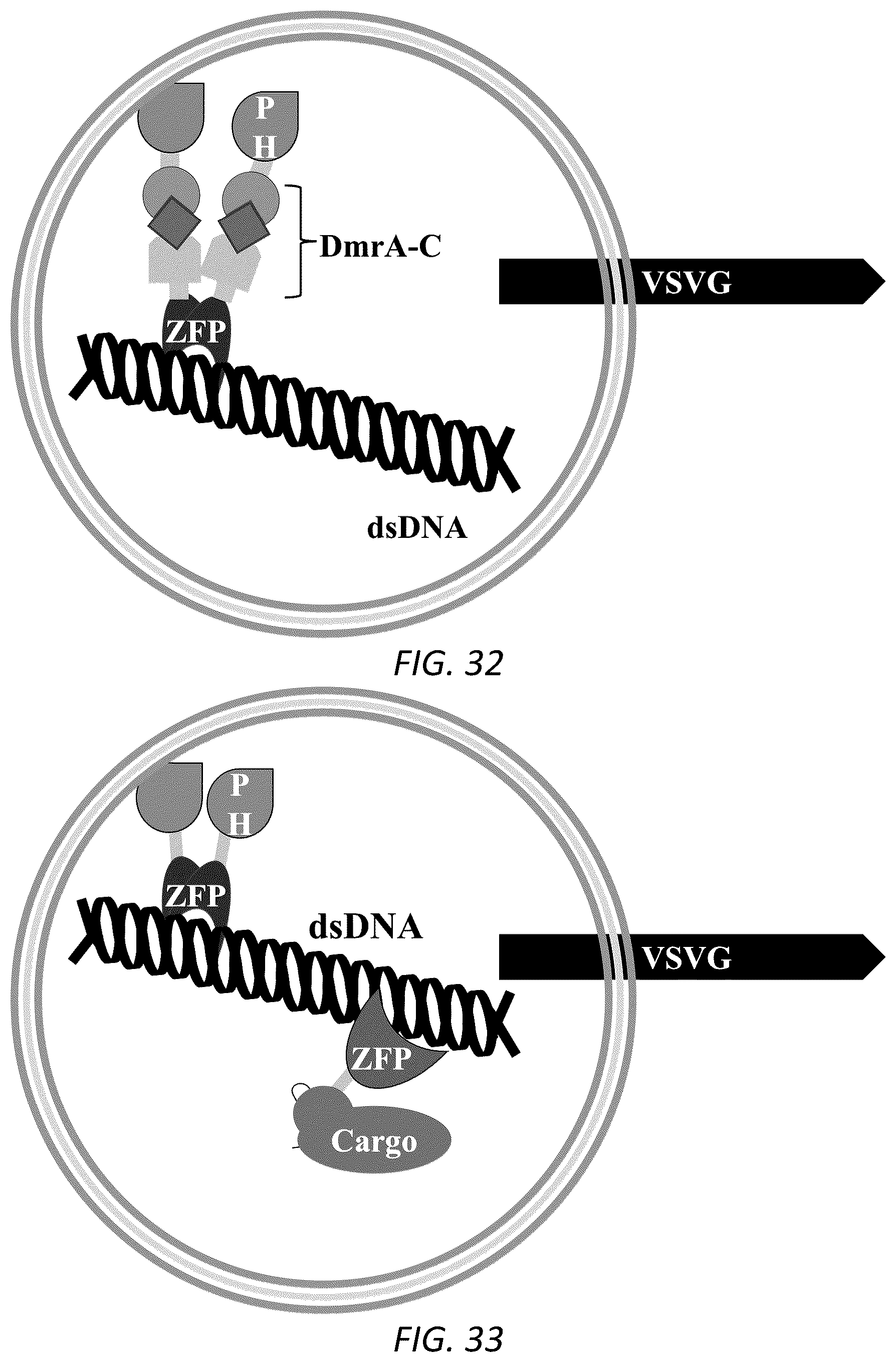 Patent US12319938 Figure 20 – Enhanced virus-like particles and methods of use thereof for delivery to cells