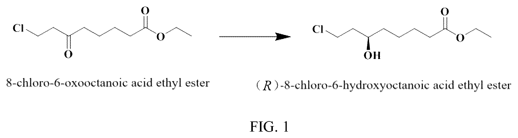 Patent US12319939 Figure 1 – Carbonyl reductase mutant and its application
