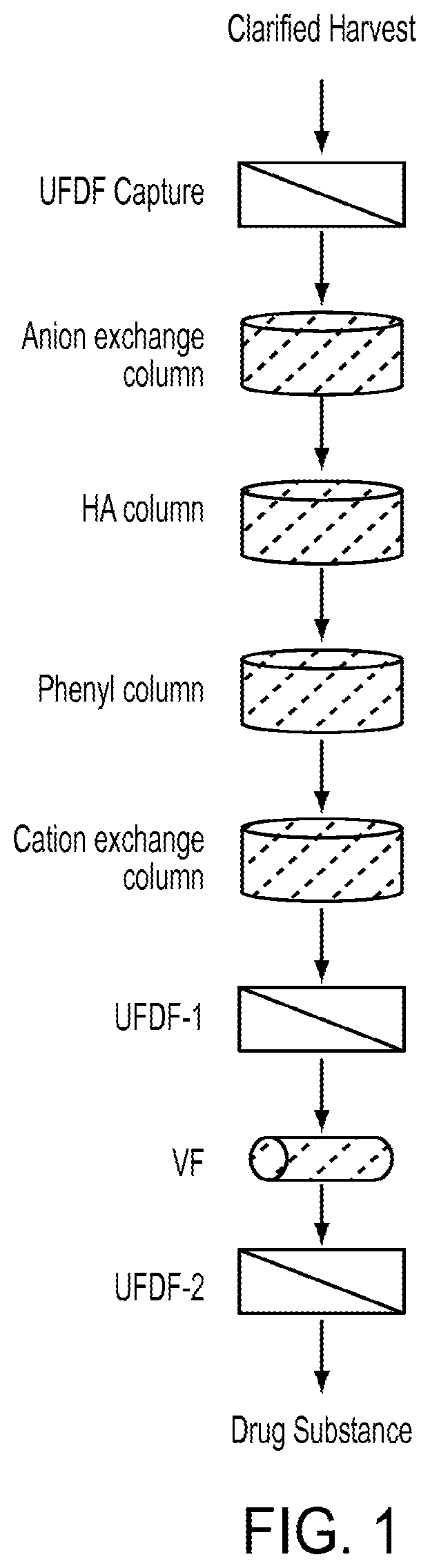 Patent US12319940 — Methods for purification of arylsulfatase A — Figure 1