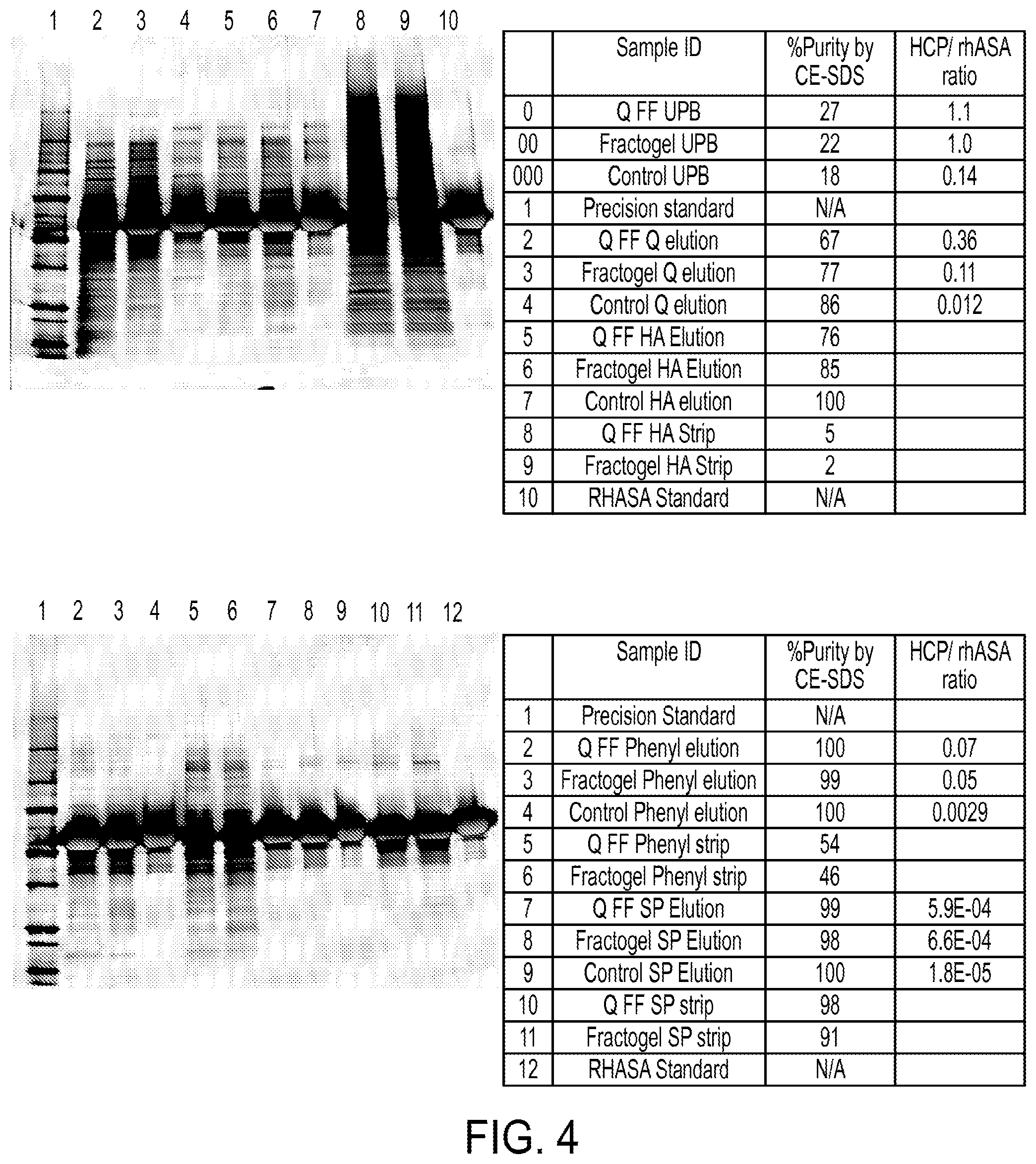 Patent US12319940 Figure 4 – Methods for purification of arylsulfatase A