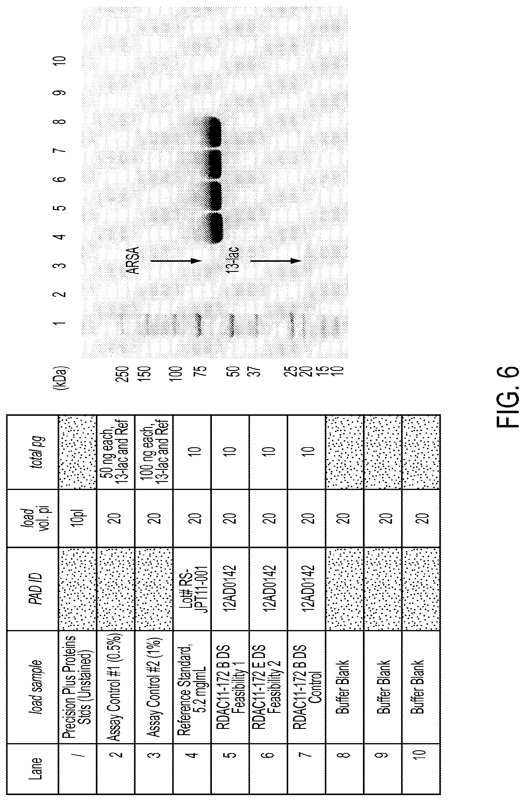 Patent US12319940 Figure 6 – Methods for purification of arylsulfatase A