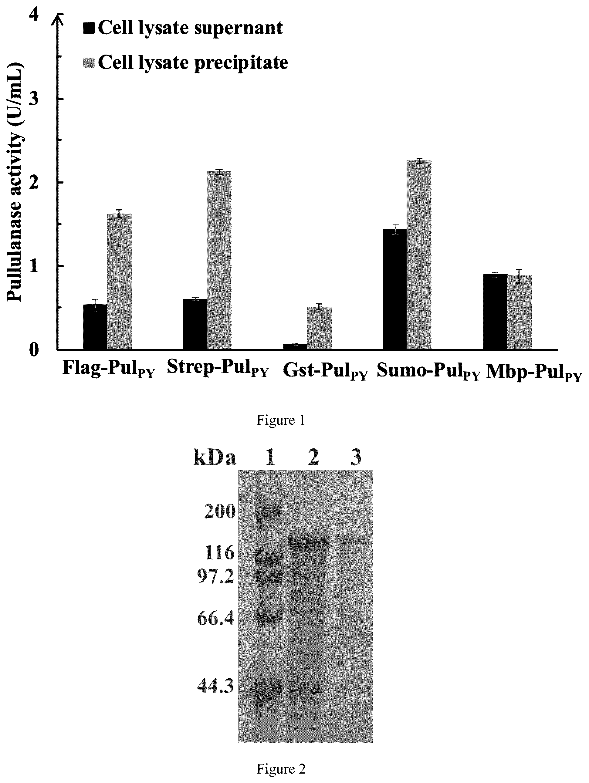 Patent US12319941 Figure 1 – Thermophilic recombinant type II pullulanase and application thereof