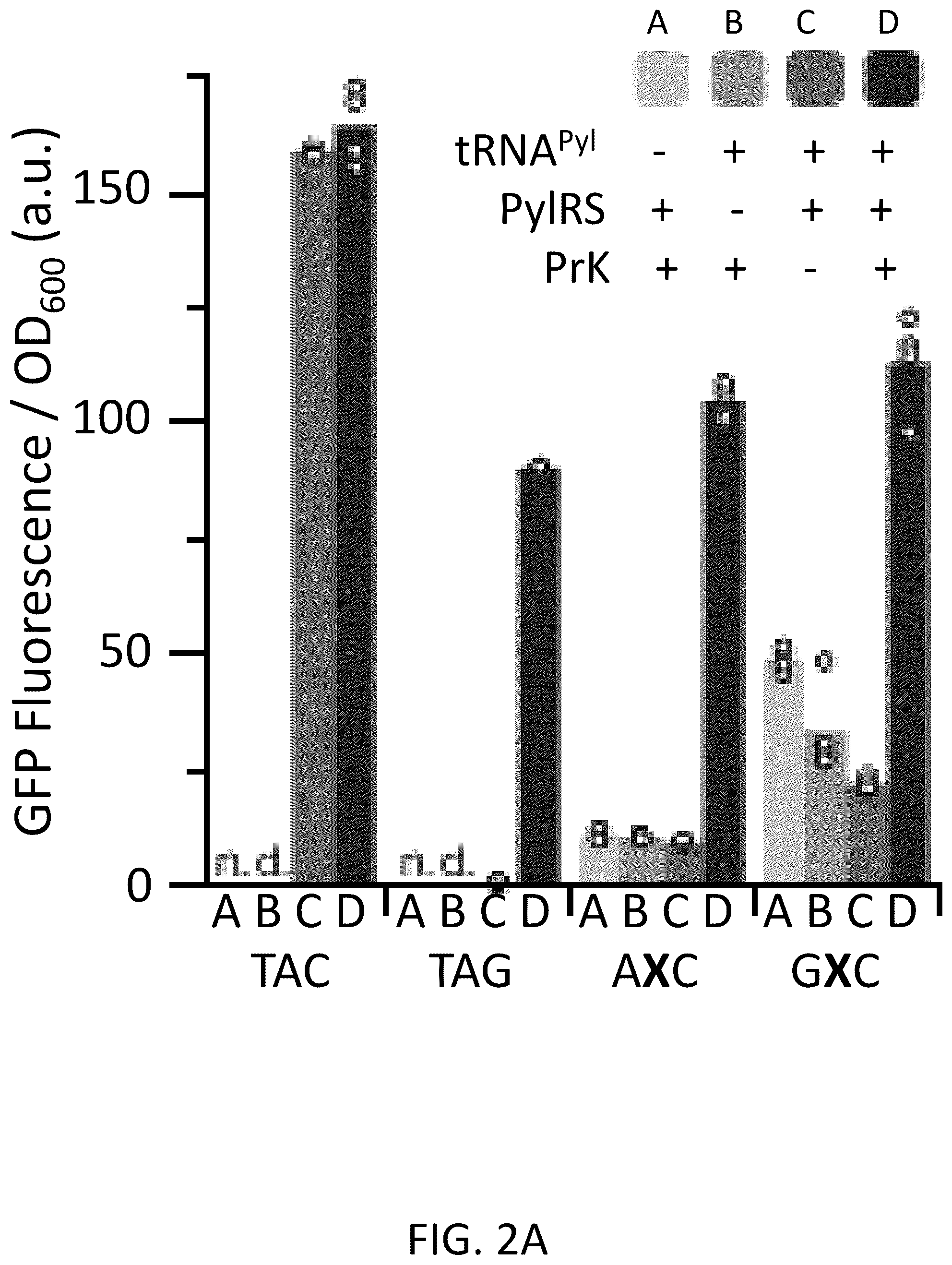 Patent US12319944 Figure 6 – Incorporation of unnatural nucleotides and methods thereof