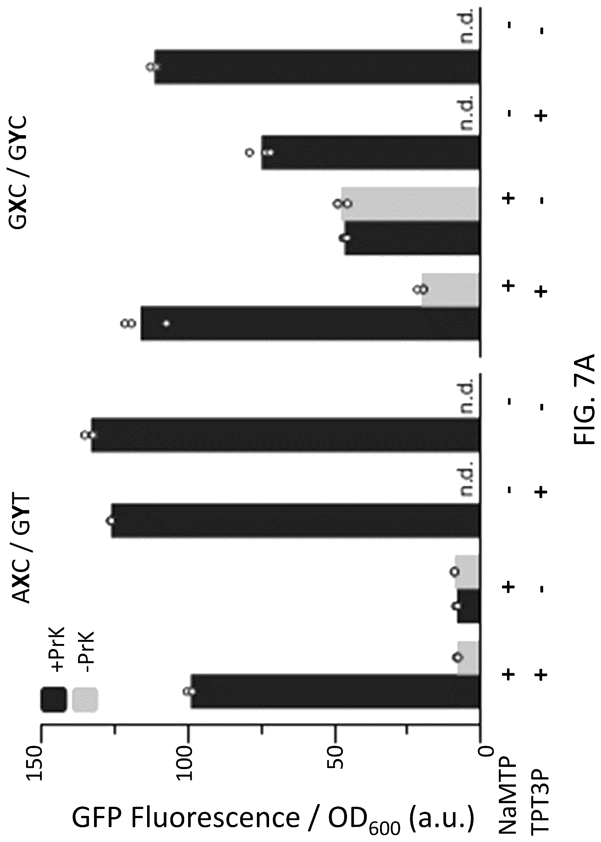 Patent US12319944 Figure 17 – Incorporation of unnatural nucleotides and methods thereof