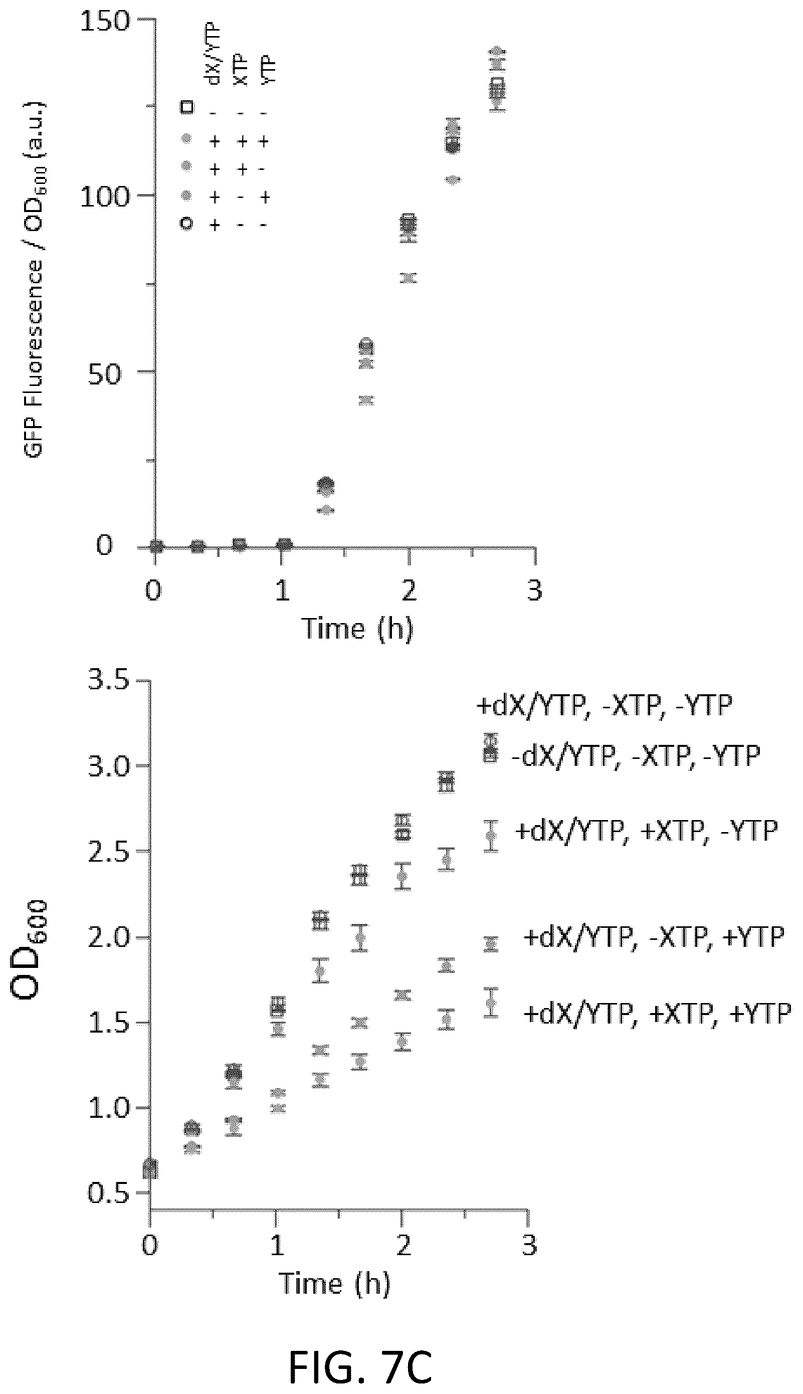 Patent US12319944 Figure 19 – Incorporation of unnatural nucleotides and methods thereof