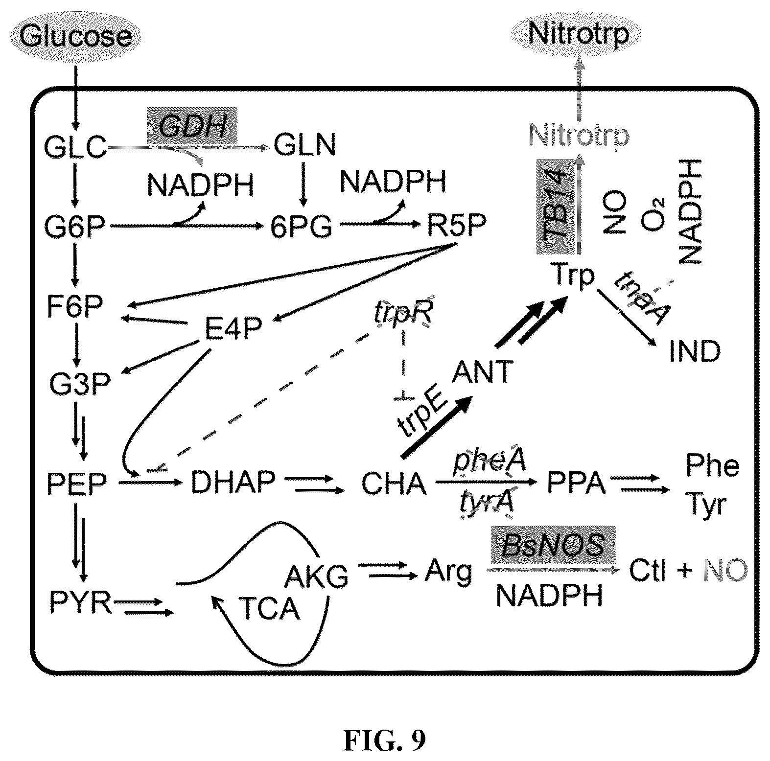 Patent US12319946 Figure 7 – Methods for producing modified bacteria for production of nitroaromatics