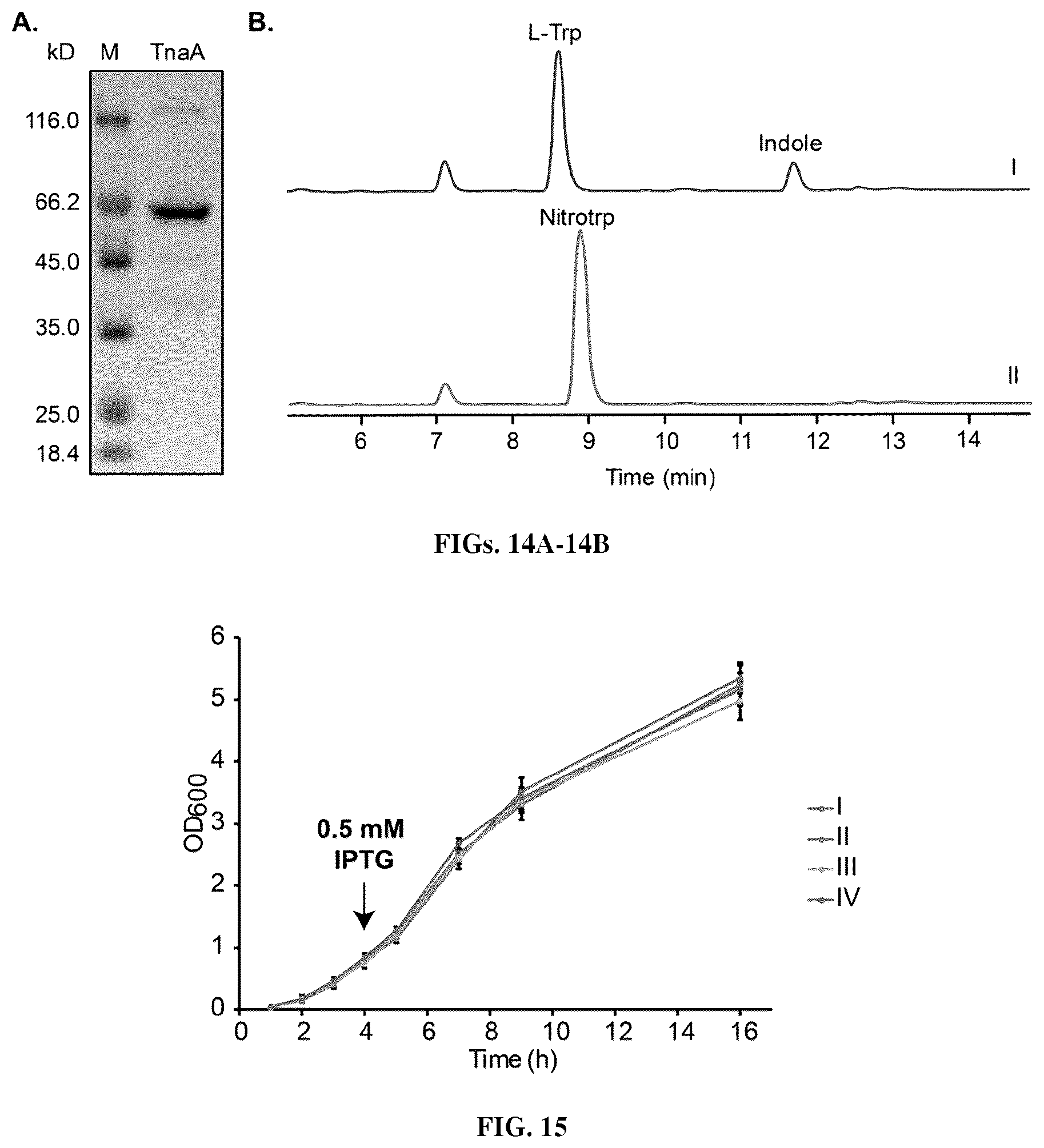 Patent US12319946 Figure 11 – Methods for producing modified bacteria for production of nitroaromatics