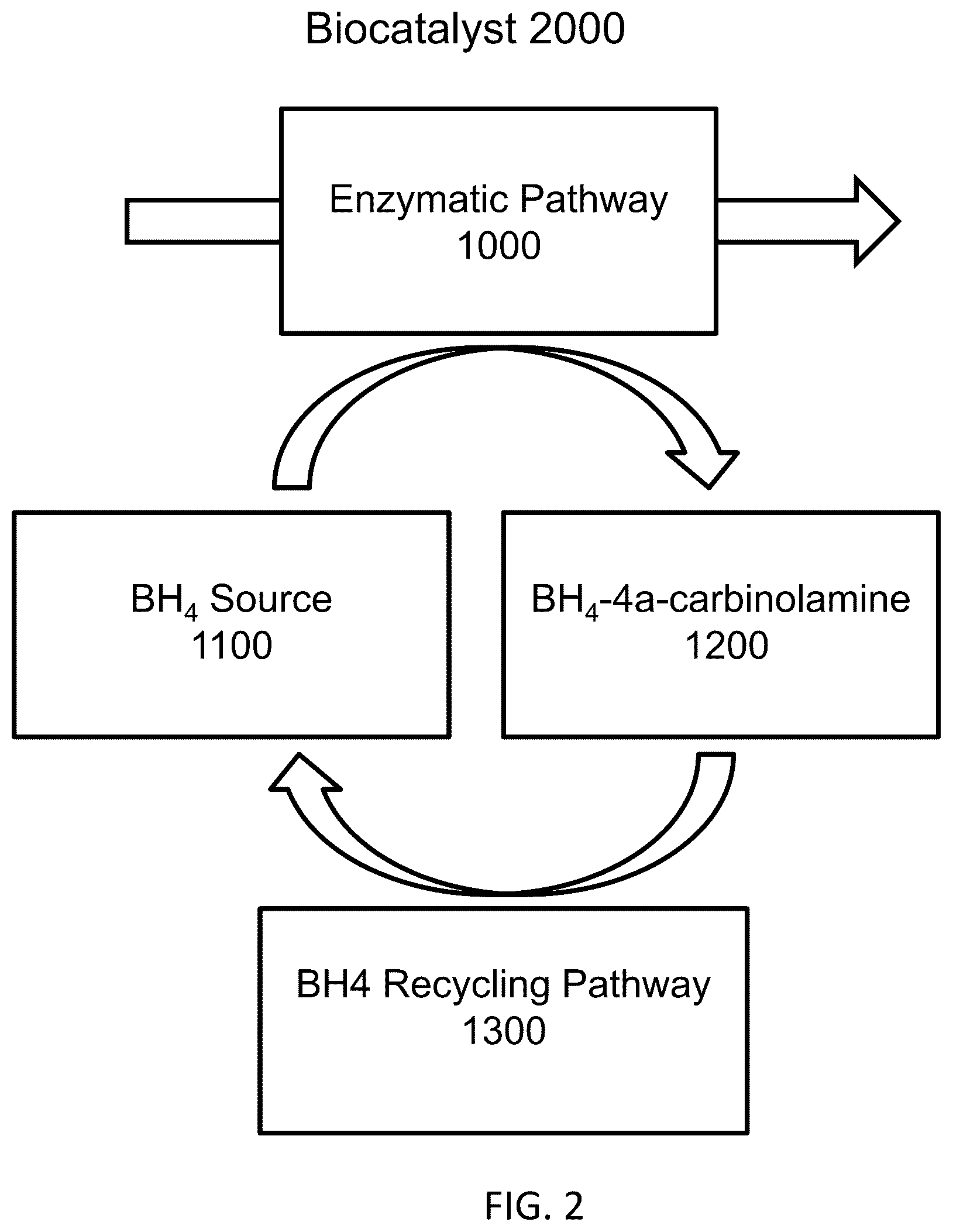 Patent US12319948 Figure 2 – Pterin-dependent biocatalysts and uses thereof
