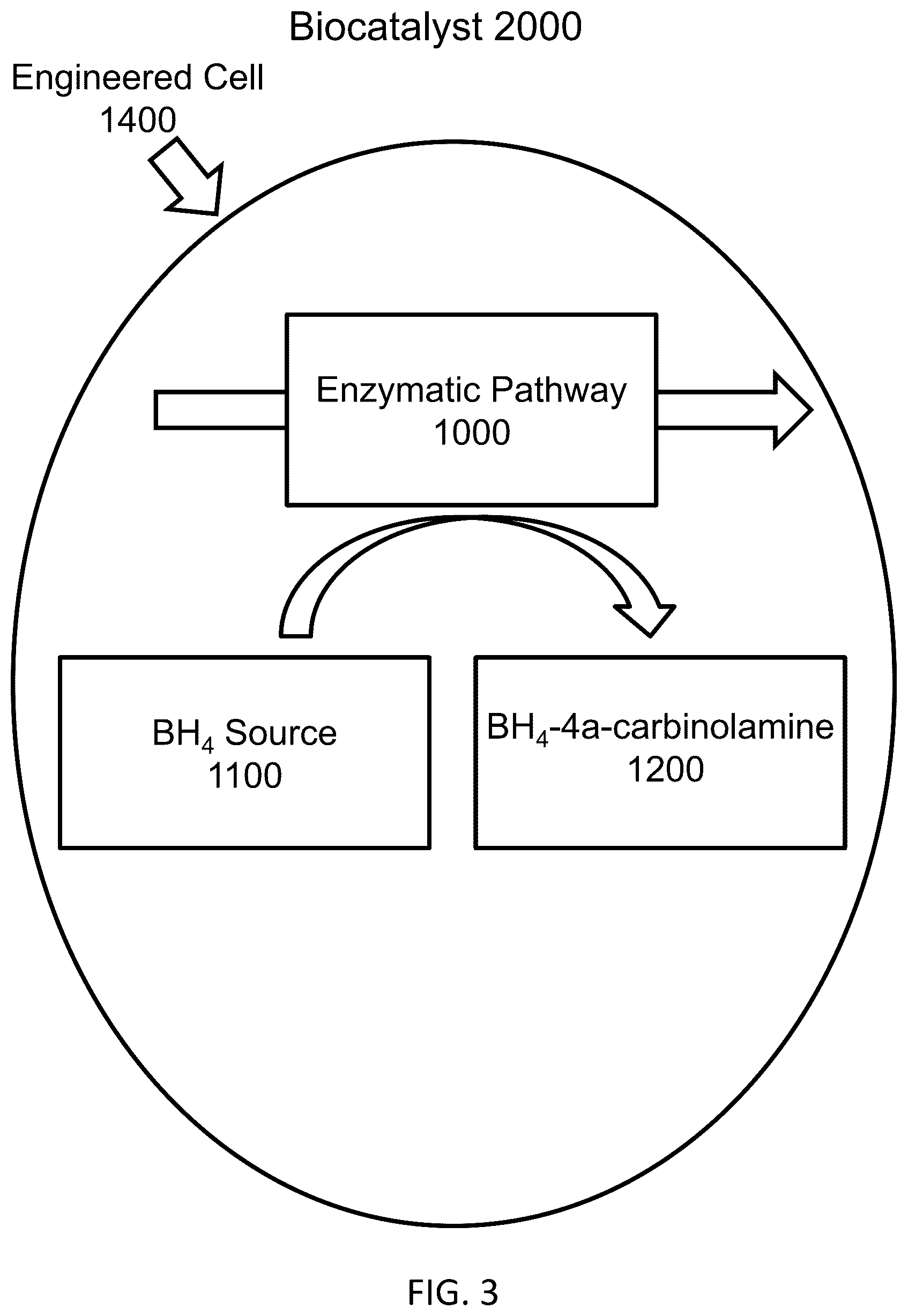 Patent US12319948 Figure 3 – Pterin-dependent biocatalysts and uses thereof