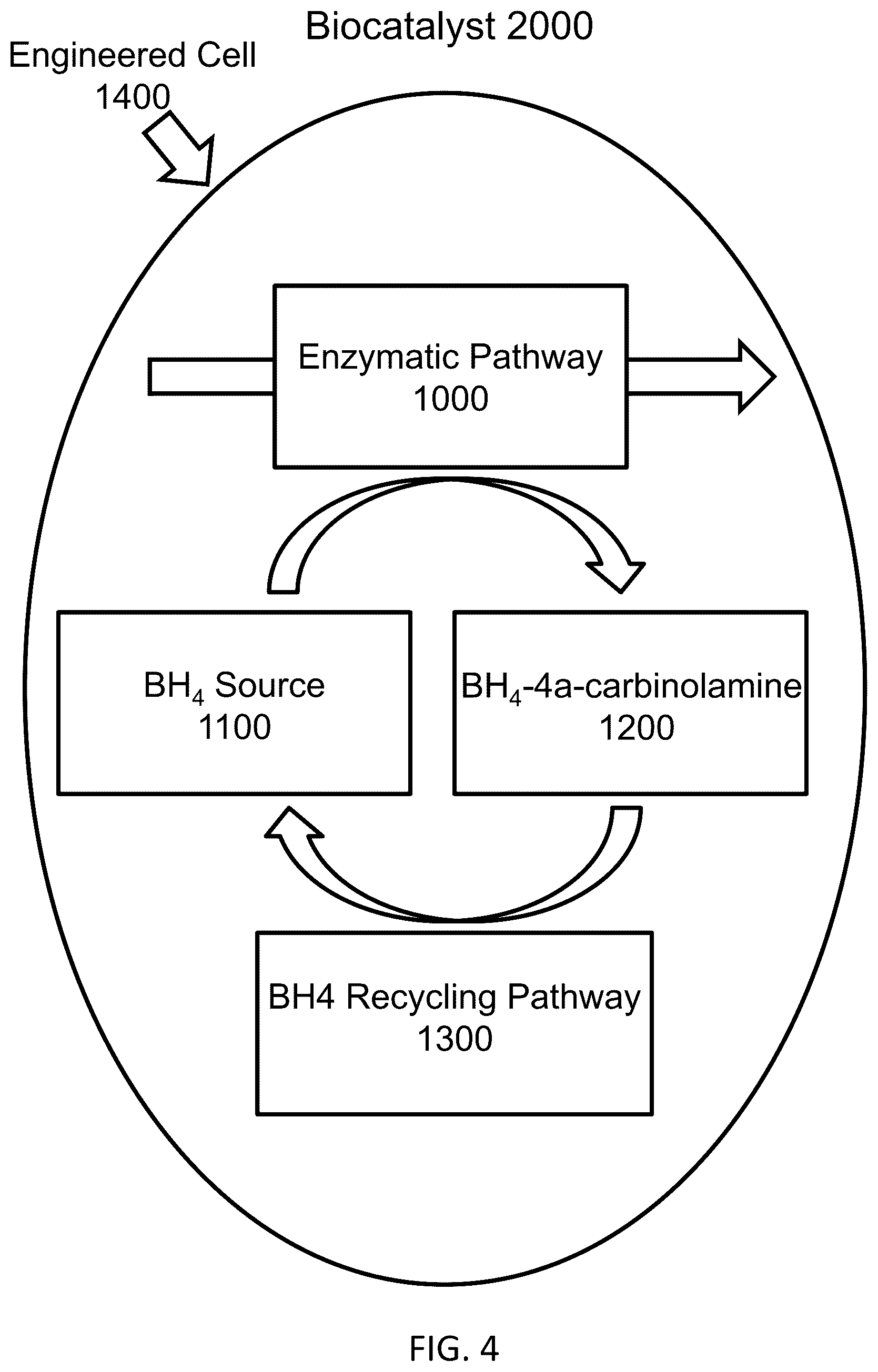 Patent US12319948 Figure 4 – Pterin-dependent biocatalysts and uses thereof