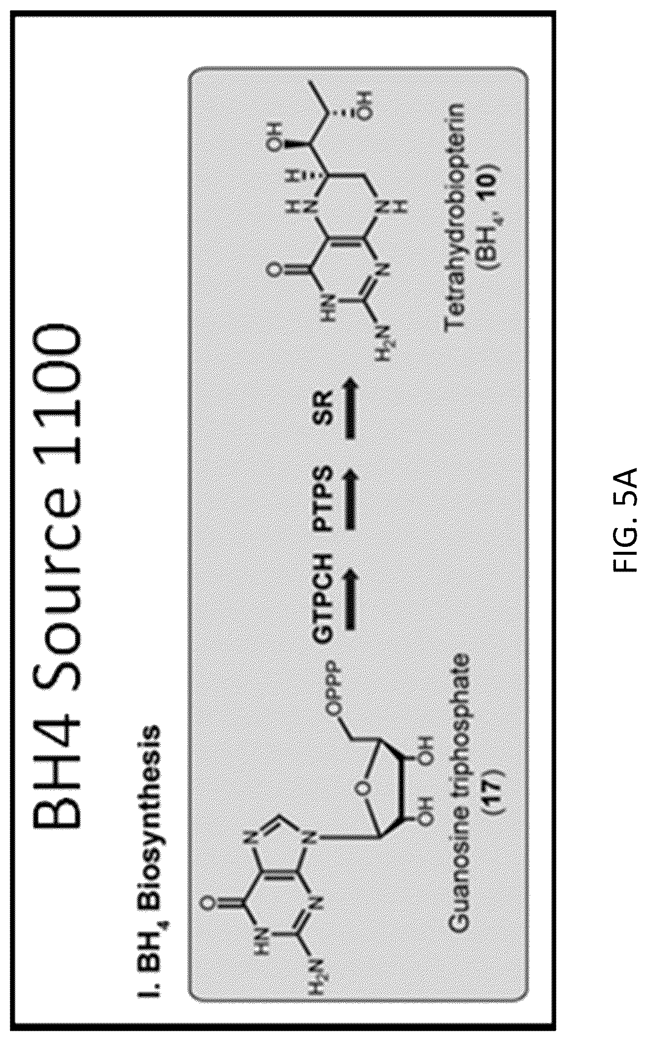 Patent US12319948 Figure 5 – Pterin-dependent biocatalysts and uses thereof