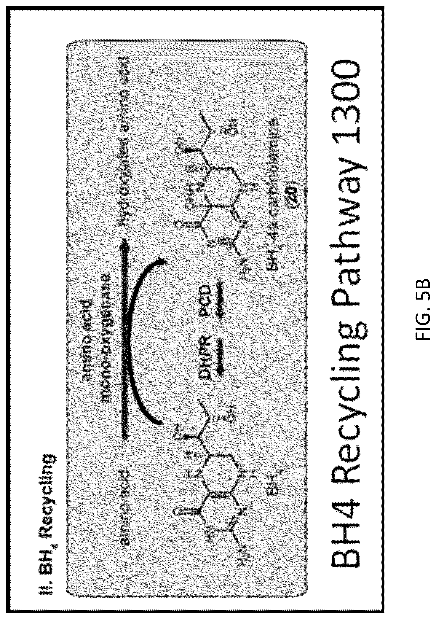 Patent US12319948 Figure 6 – Pterin-dependent biocatalysts and uses thereof