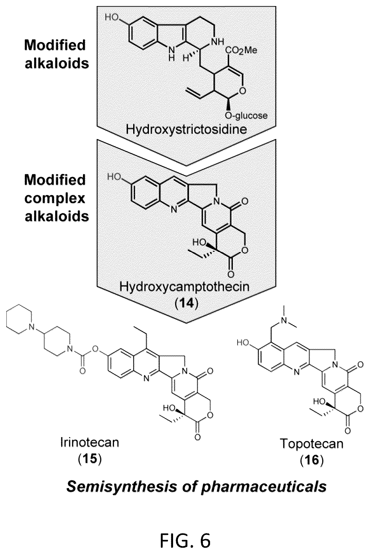 Patent US12319948 Figure 8 – Pterin-dependent biocatalysts and uses thereof