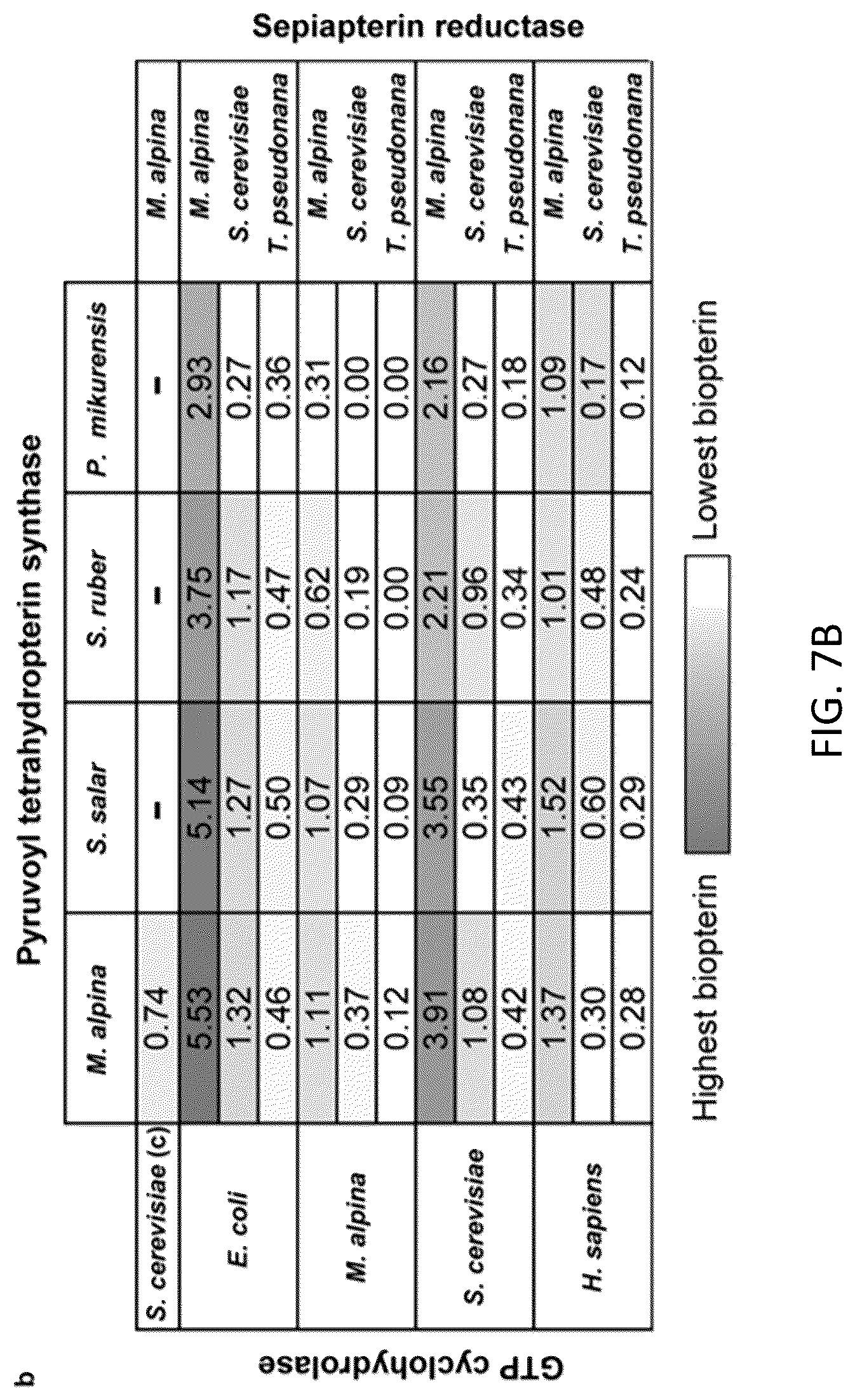 Patent US12319948 Figure 10 – Pterin-dependent biocatalysts and uses thereof