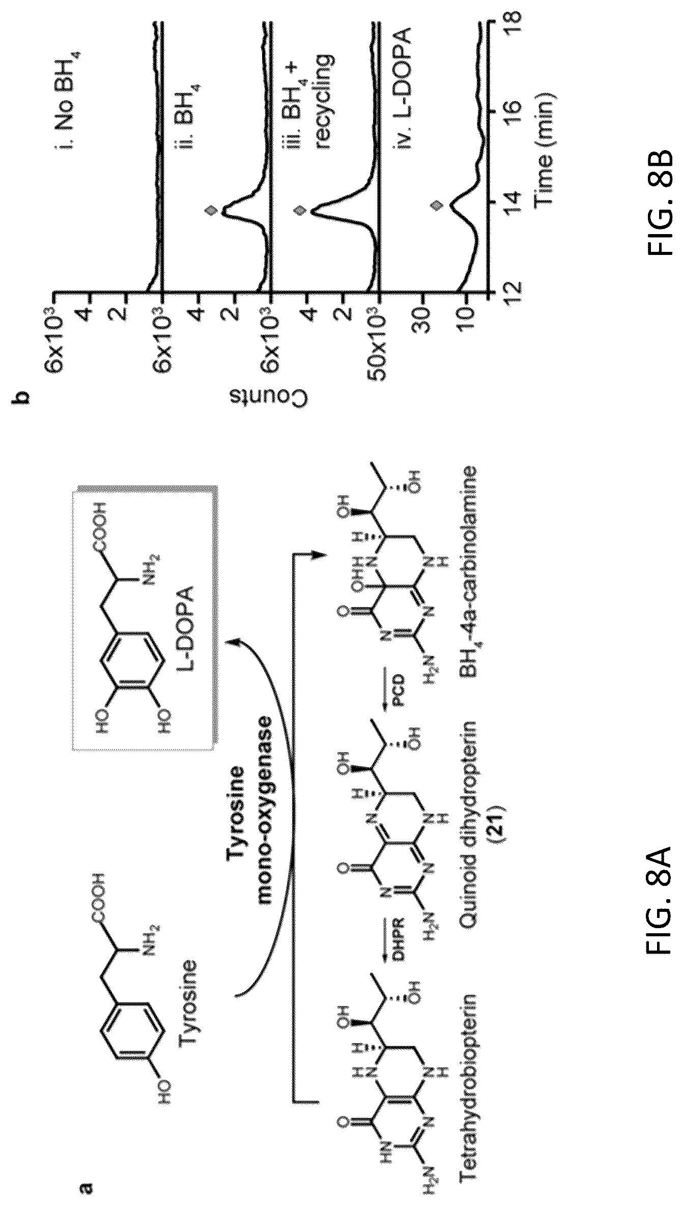 Patent US12319948 Figure 14 – Pterin-dependent biocatalysts and uses thereof