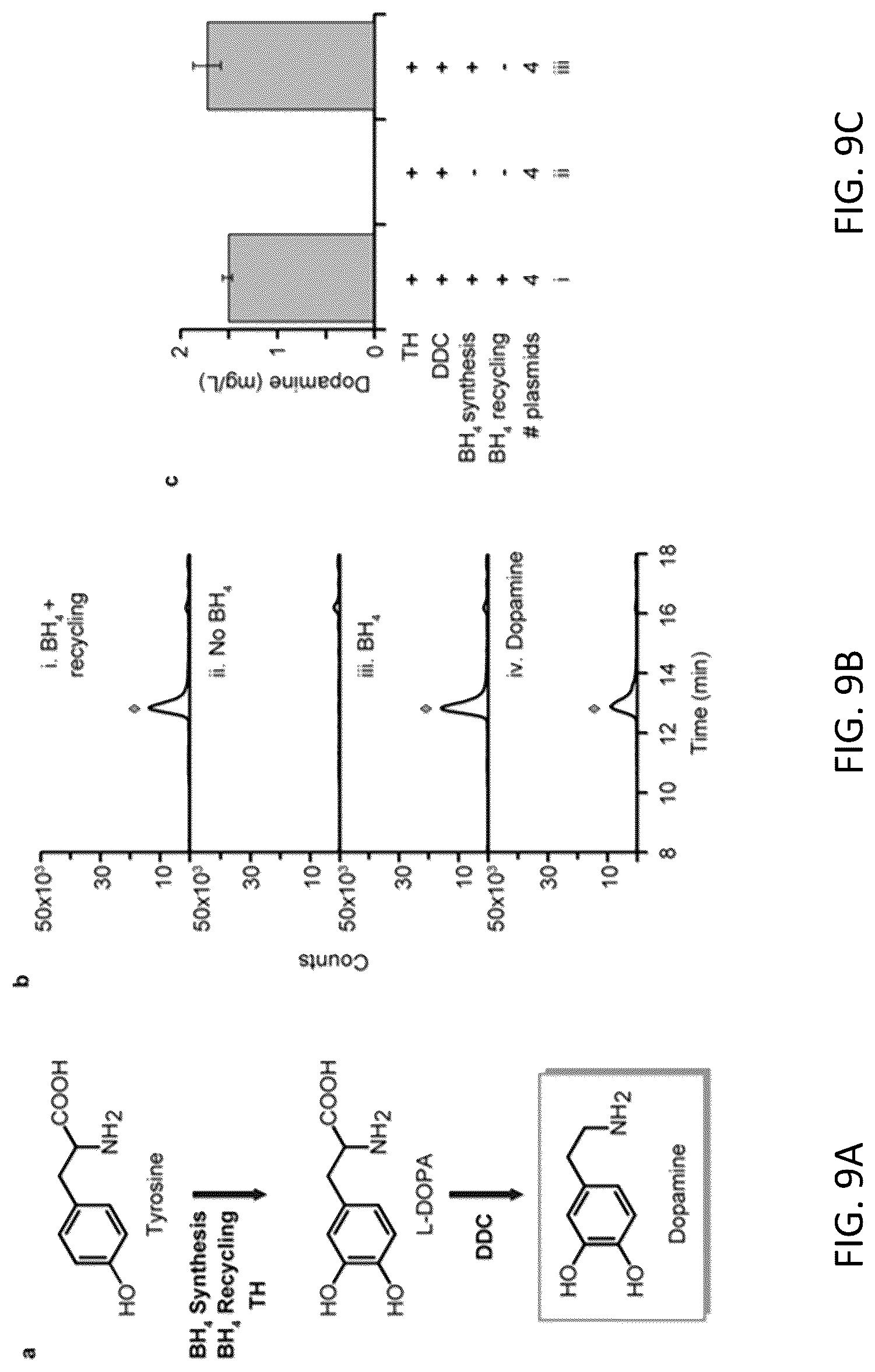 Patent US12319948 Figure 16 – Pterin-dependent biocatalysts and uses thereof