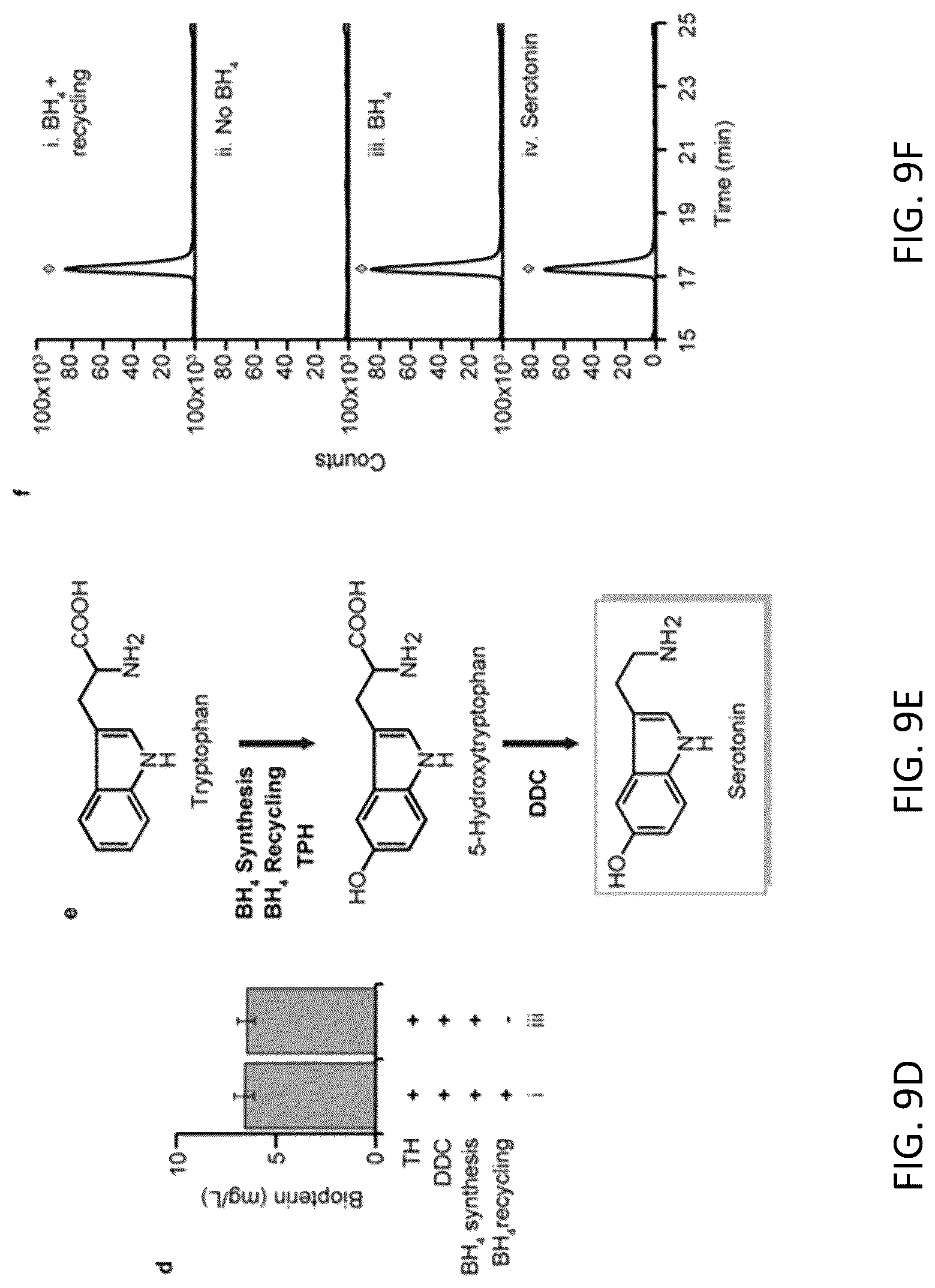 Patent US12319948 Figure 17 – Pterin-dependent biocatalysts and uses thereof