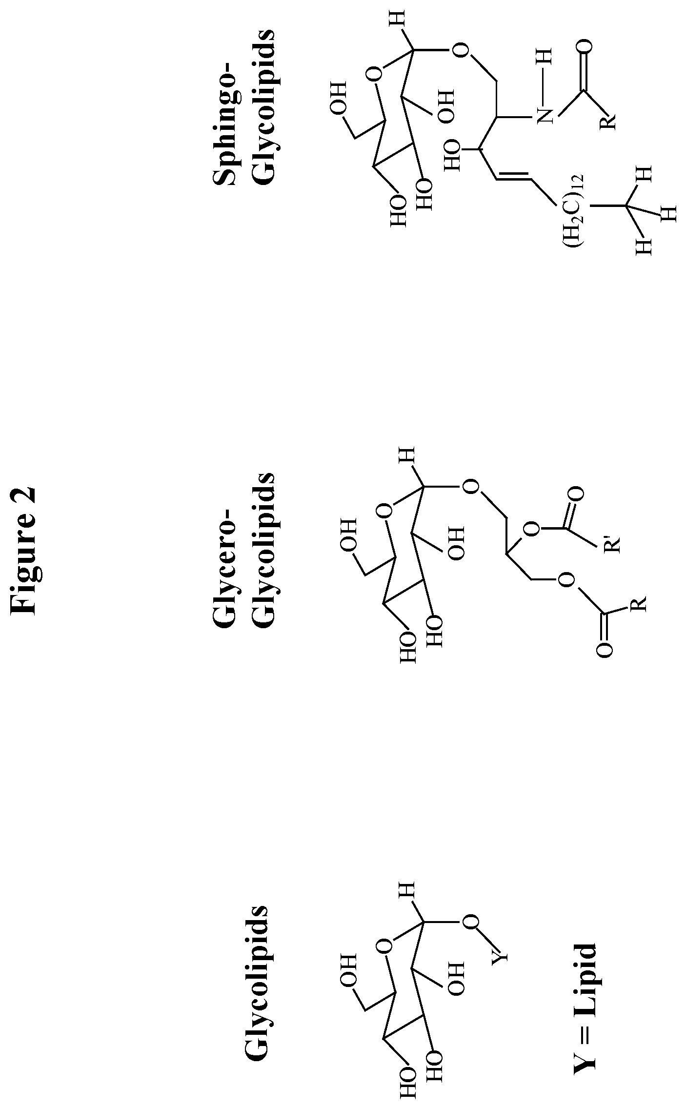 Patent US12319951 Figure 2 – Enzymatically synthesized omega-3 structured phospholipids