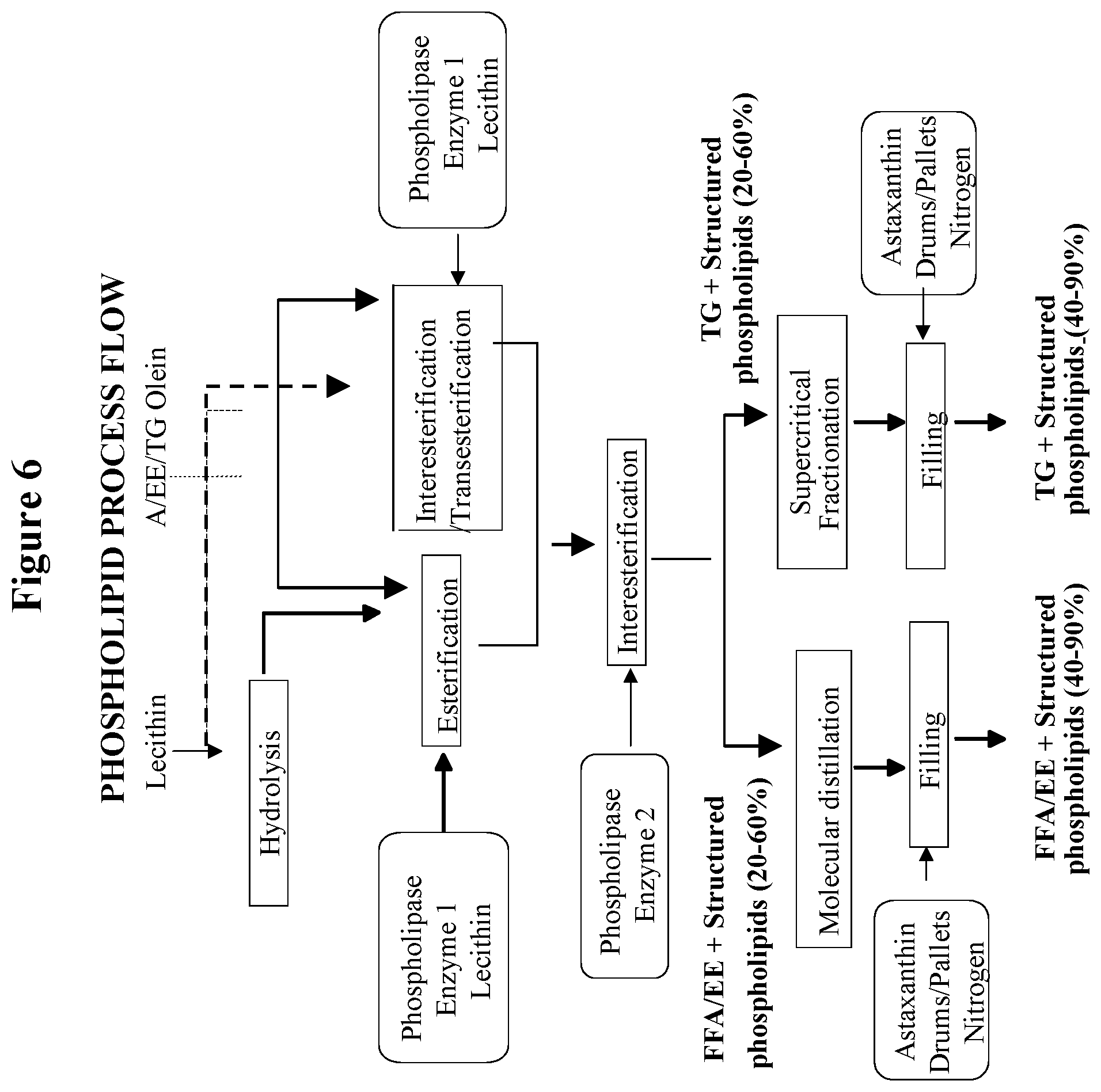 Patent US12319951 Figure 6 – Enzymatically synthesized omega-3 structured phospholipids