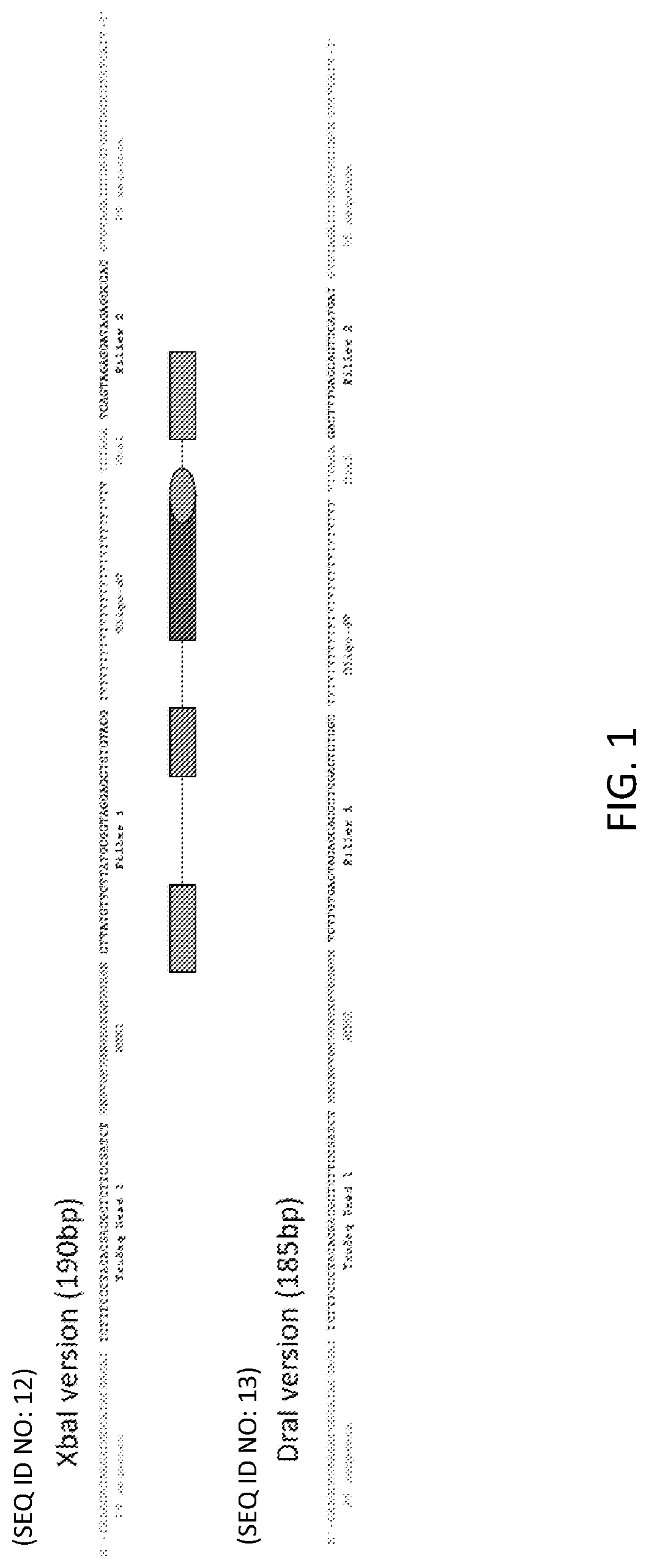 Patent US12319955 Figure 1 – Materials and methods for localized detection of nucleic acids in a tissue sample
