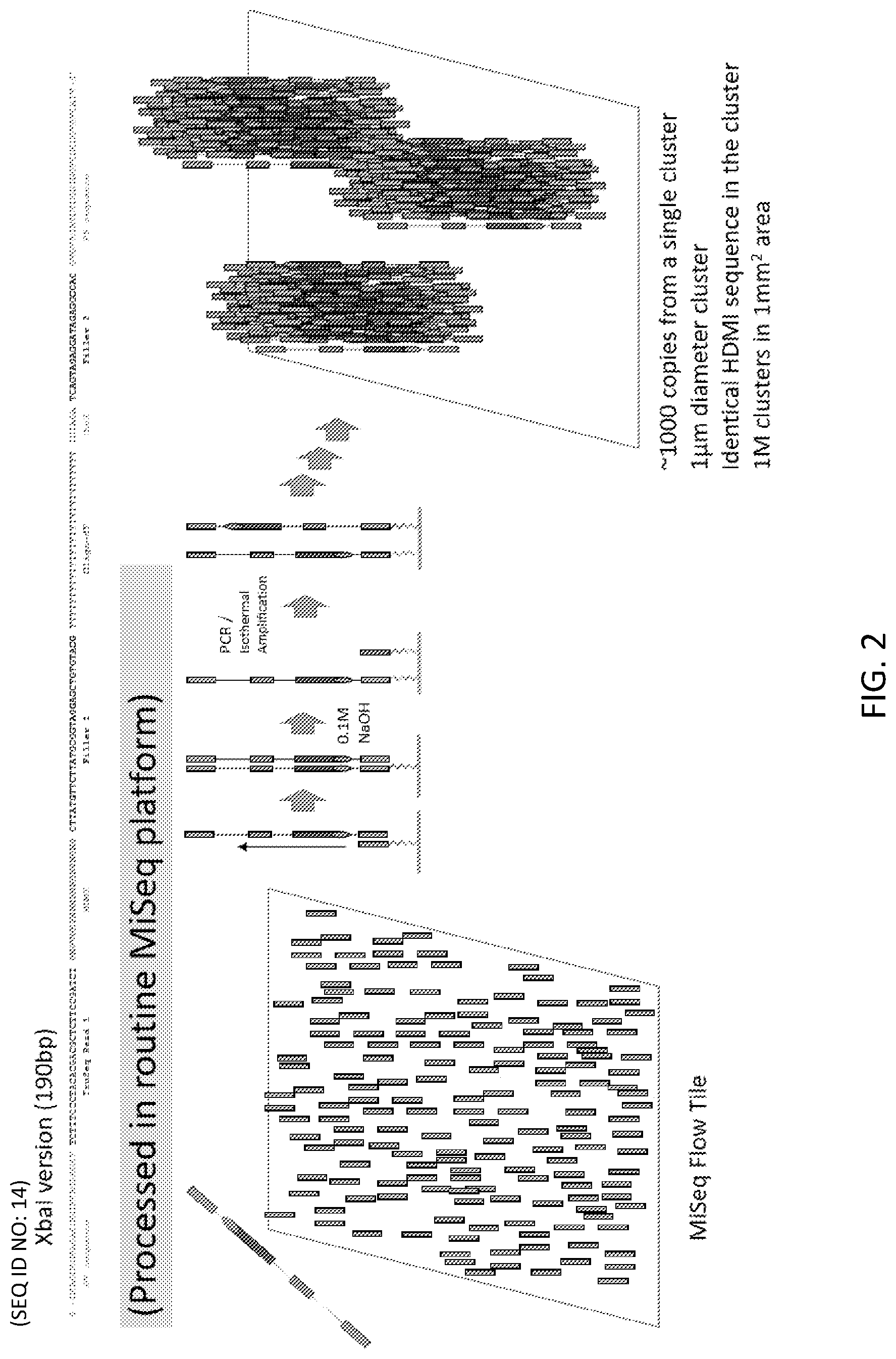 Patent US12319955 Figure 2 – Materials and methods for localized detection of nucleic acids in a tissue sample