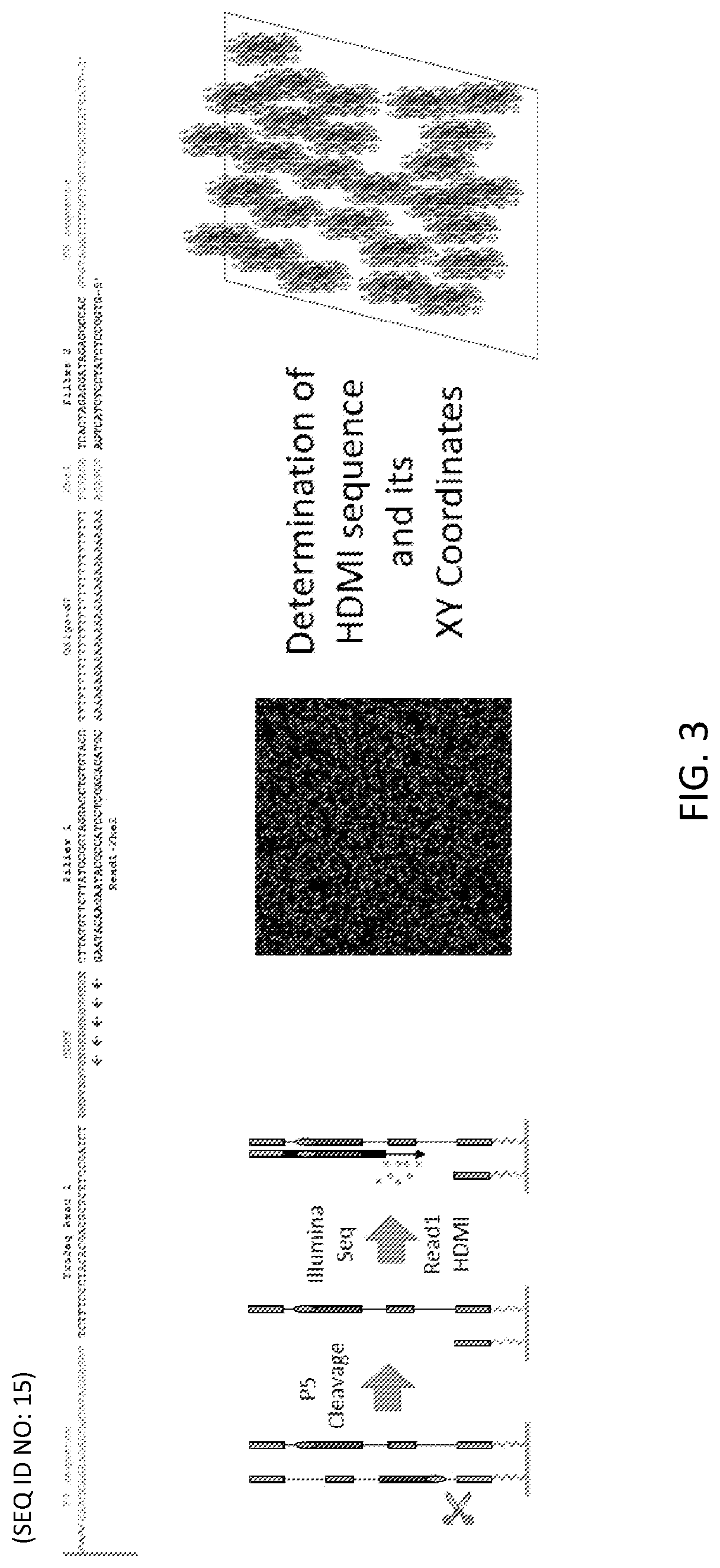 Patent US12319955 Figure 3 – Materials and methods for localized detection of nucleic acids in a tissue sample