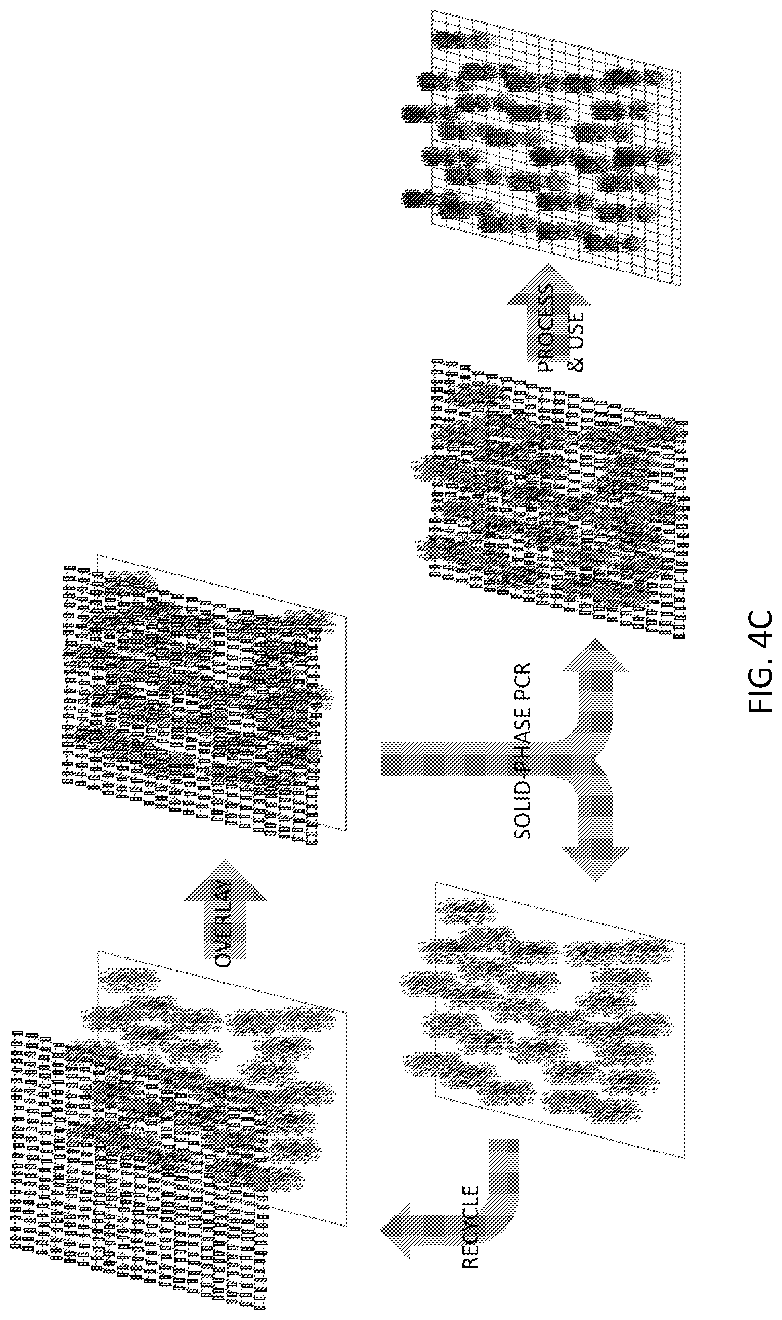 Patent US12319955 Figure 6 – Materials and methods for localized detection of nucleic acids in a tissue sample