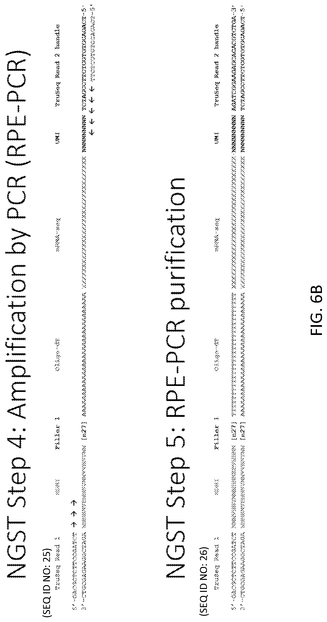 Patent US12319955 Figure 9 – Materials and methods for localized detection of nucleic acids in a tissue sample