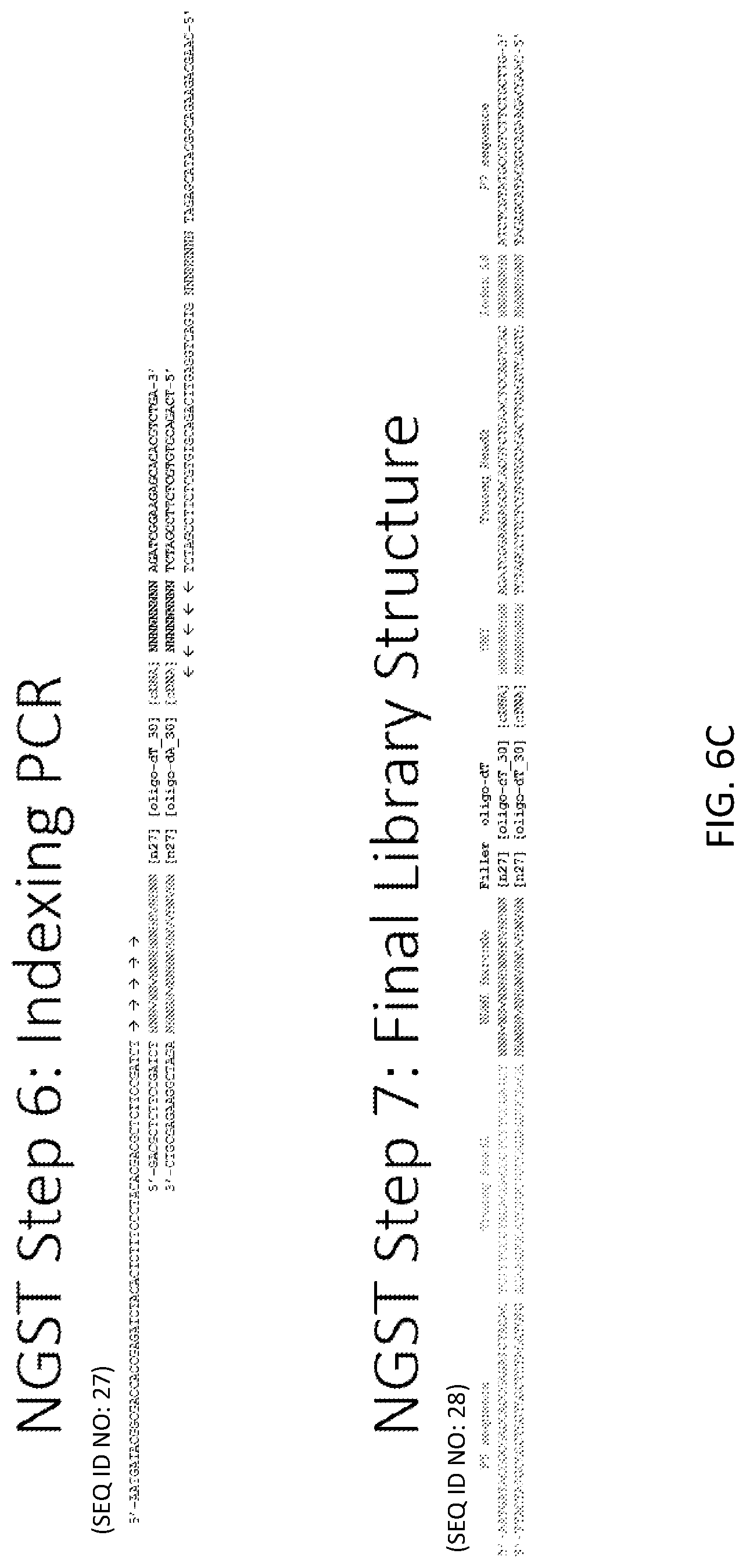Patent US12319955 Figure 10 – Materials and methods for localized detection of nucleic acids in a tissue sample
