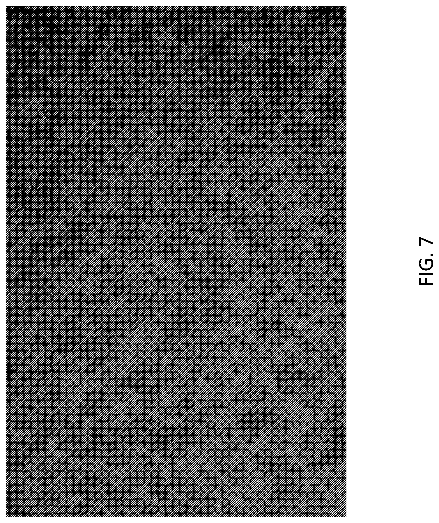 Patent US12319955 Figure 11 – Materials and methods for localized detection of nucleic acids in a tissue sample