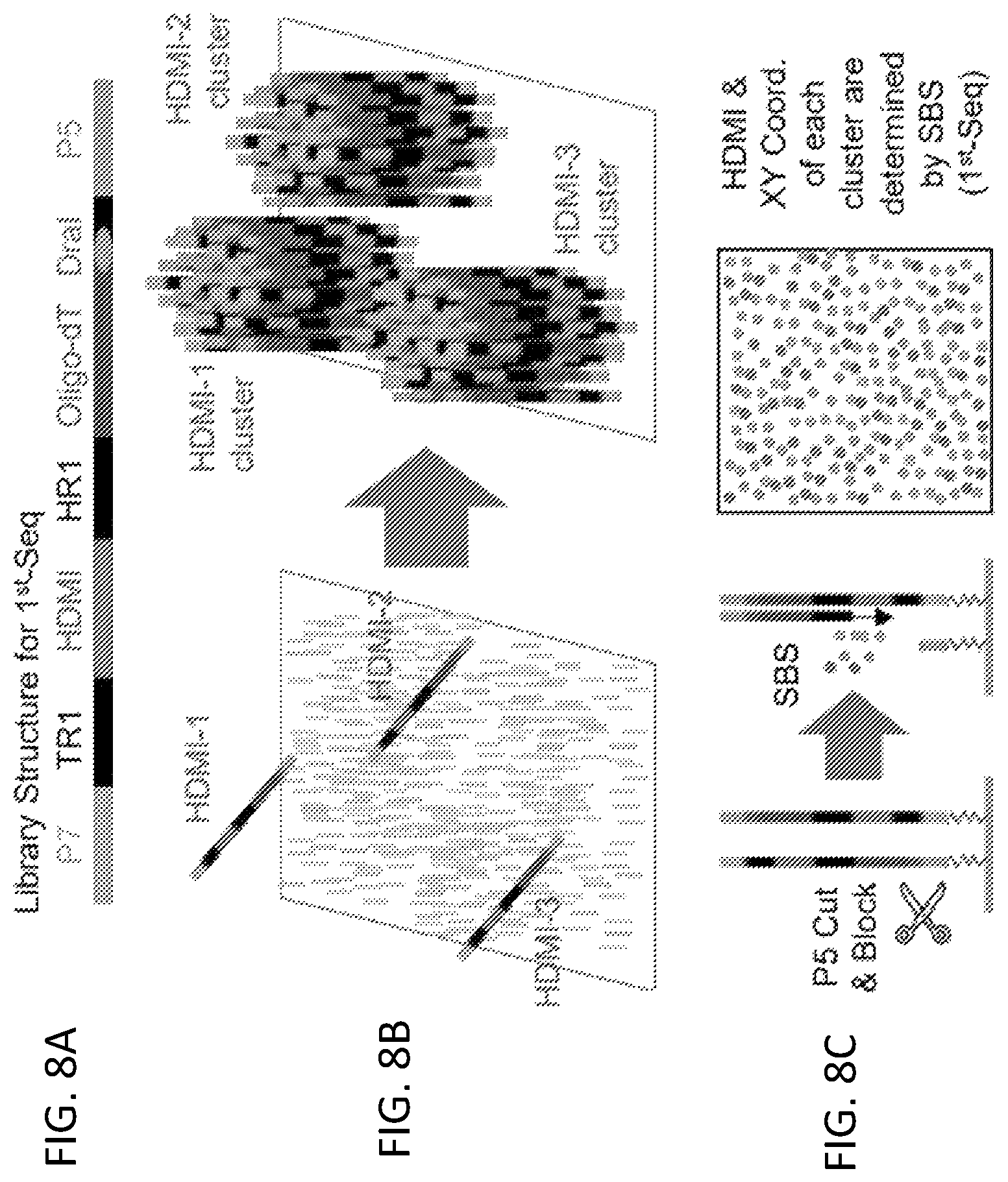 Patent US12319955 Figure 12 – Materials and methods for localized detection of nucleic acids in a tissue sample